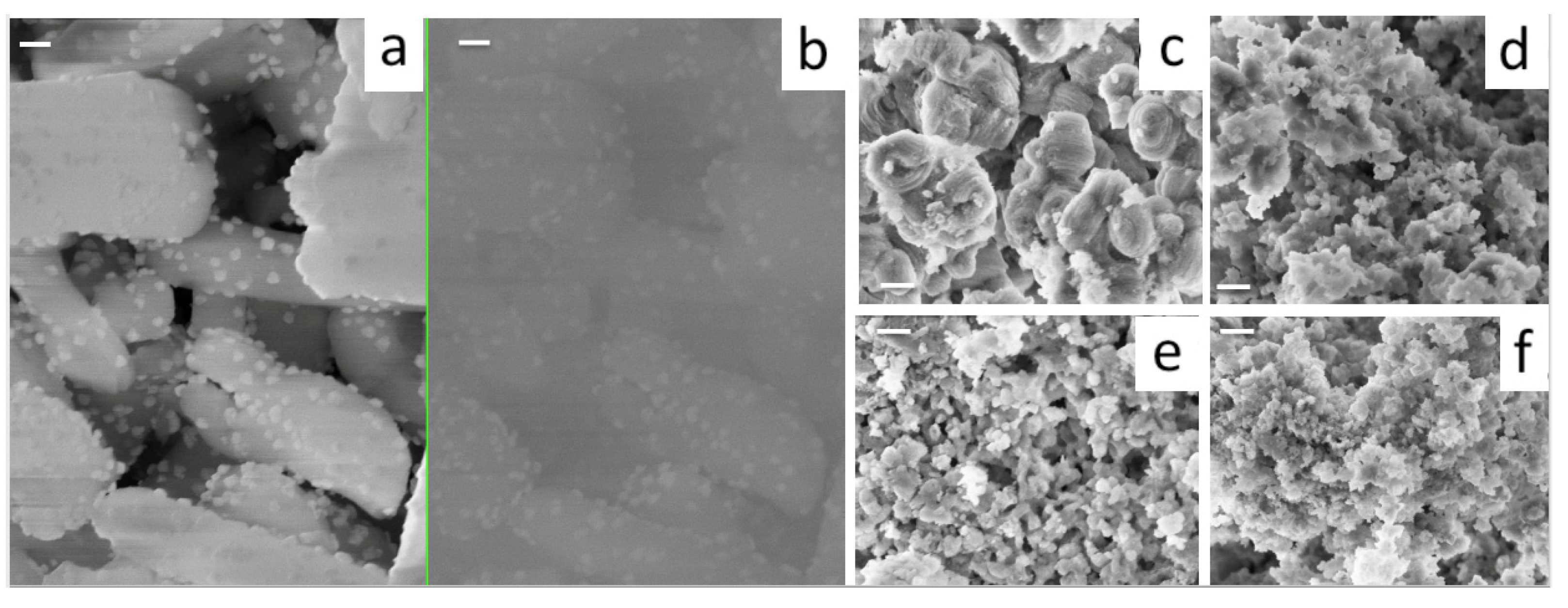 Nanomaterials 13 00997 g006 Nanomaterials 13 00997 g006