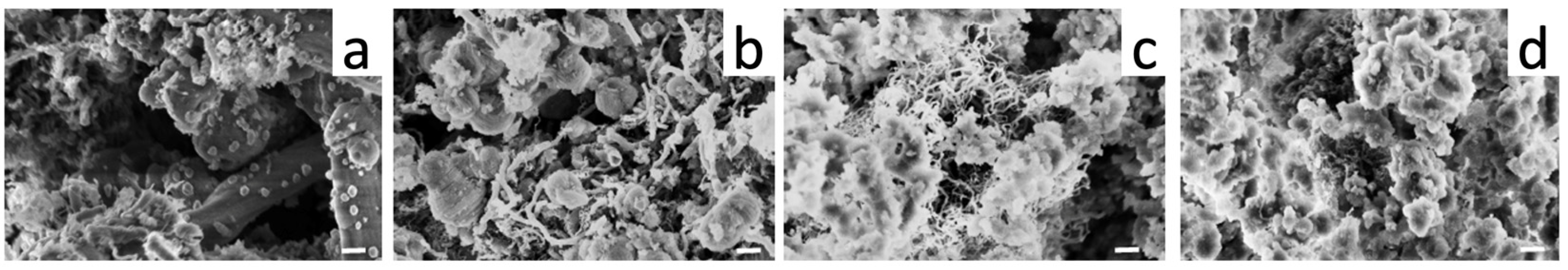 Nanomaterials 13 00997 g008 Nanomaterials 13 00997 g008