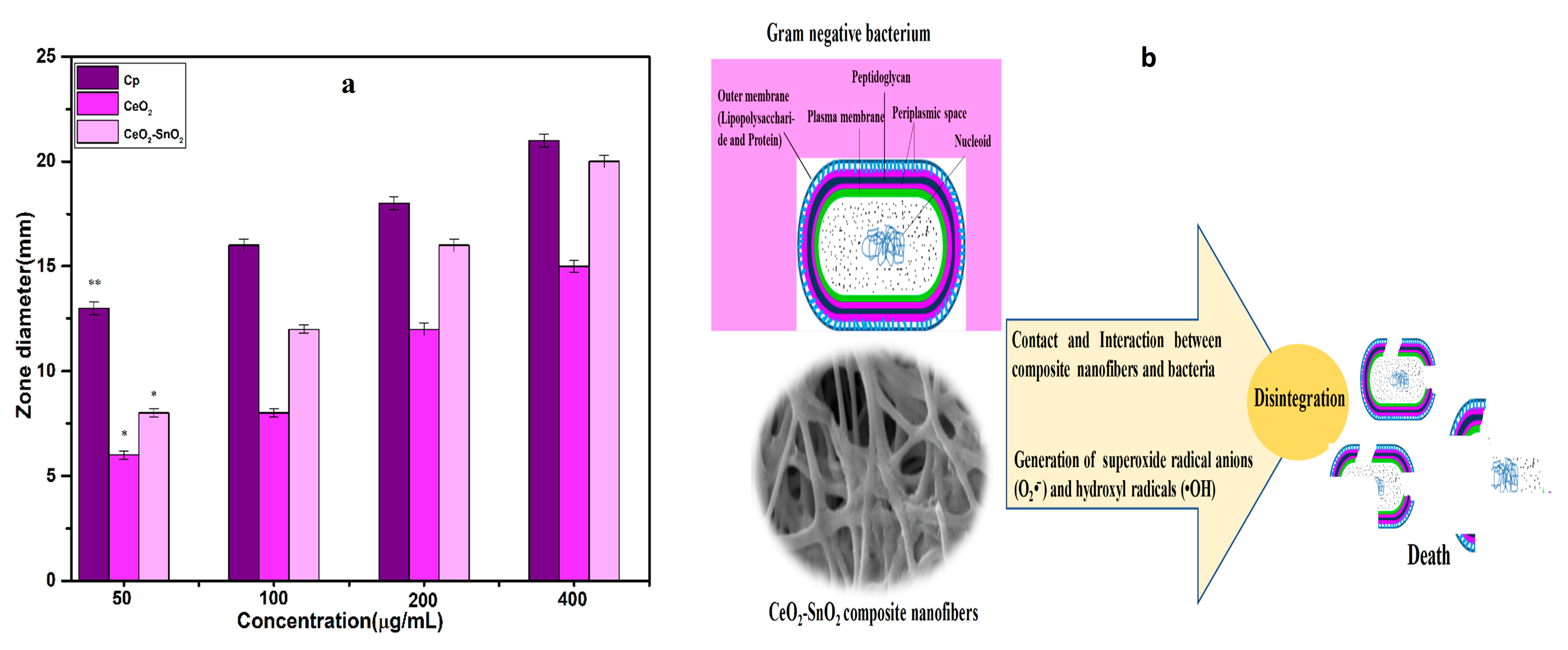 Nanomaterials 13 01001 g010