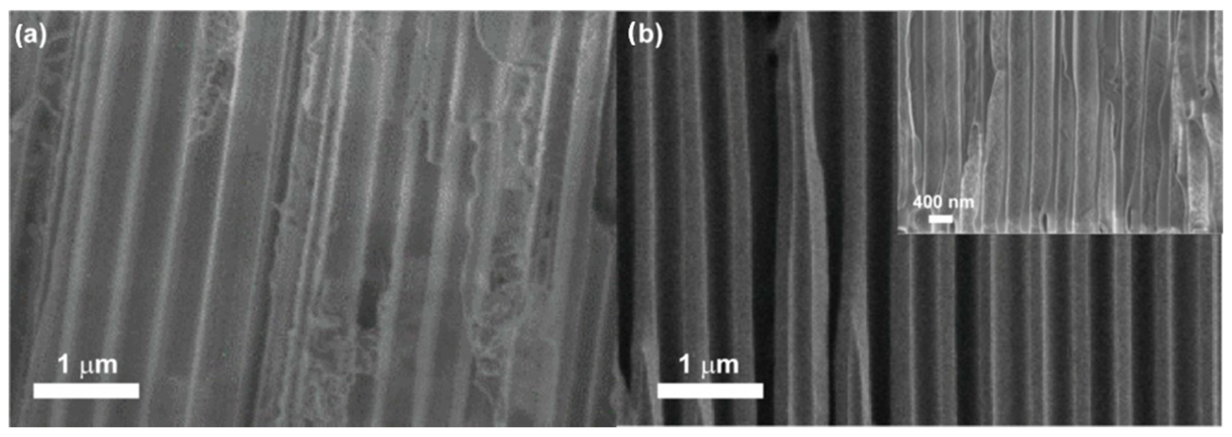 Nanomaterials 13 01002 g003 Nanomaterials 13 01002 g003