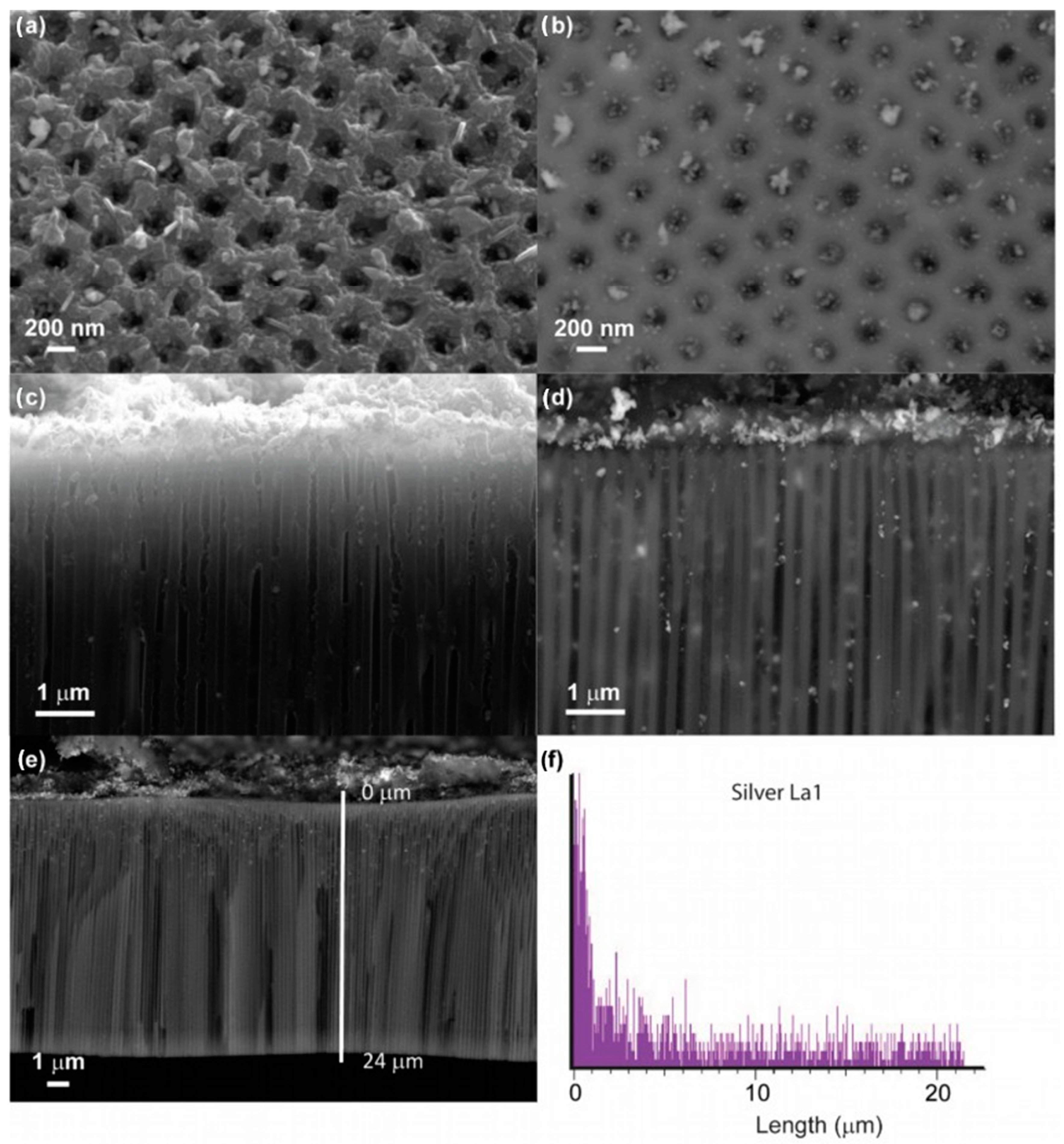 Nanomaterials 13 01002 g004 Nanomaterials 13 01002 g004
