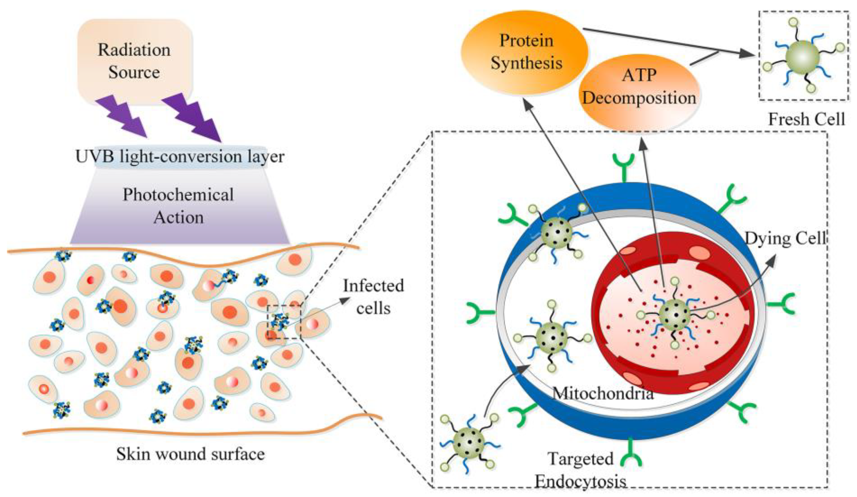 Nanomaterials 13 01013 g001 Nanomaterials 13 01013 g001
