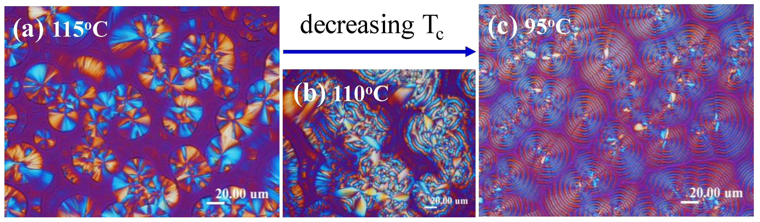 Nanomaterials 13 01016 g001