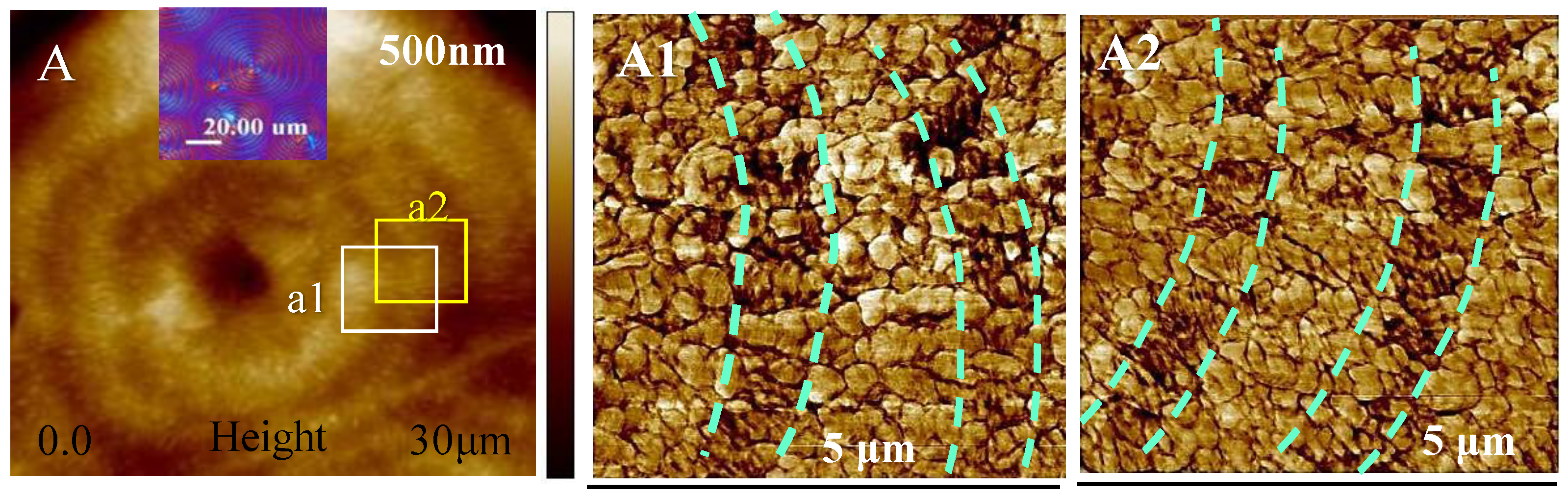 Nanomaterials 13 01016 g002