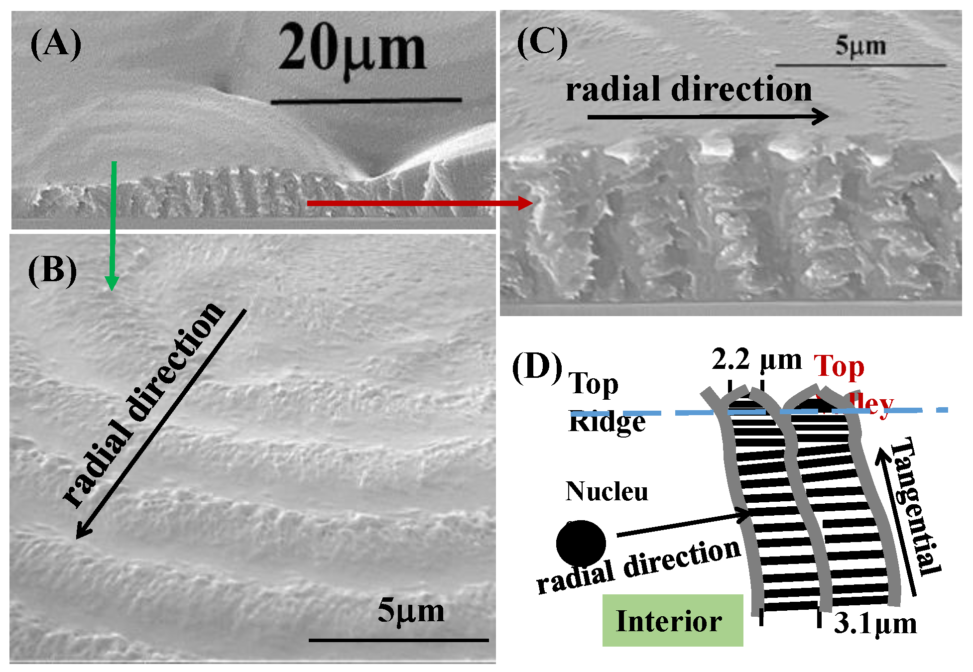 Nanomaterials 13 01016 g003