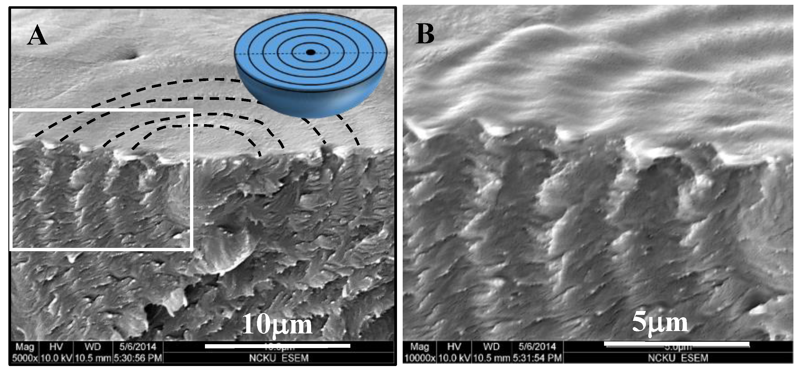 Nanomaterials 13 01016 g005