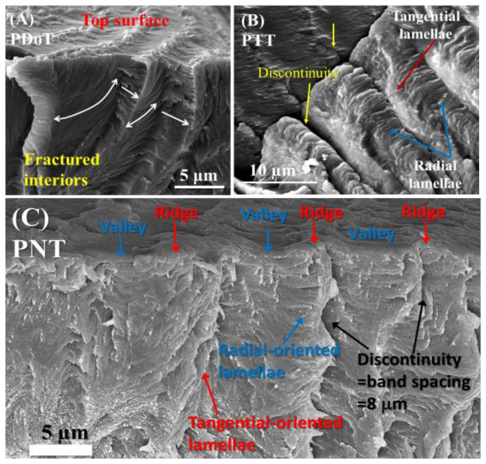 Nanomaterials 13 01016 g007