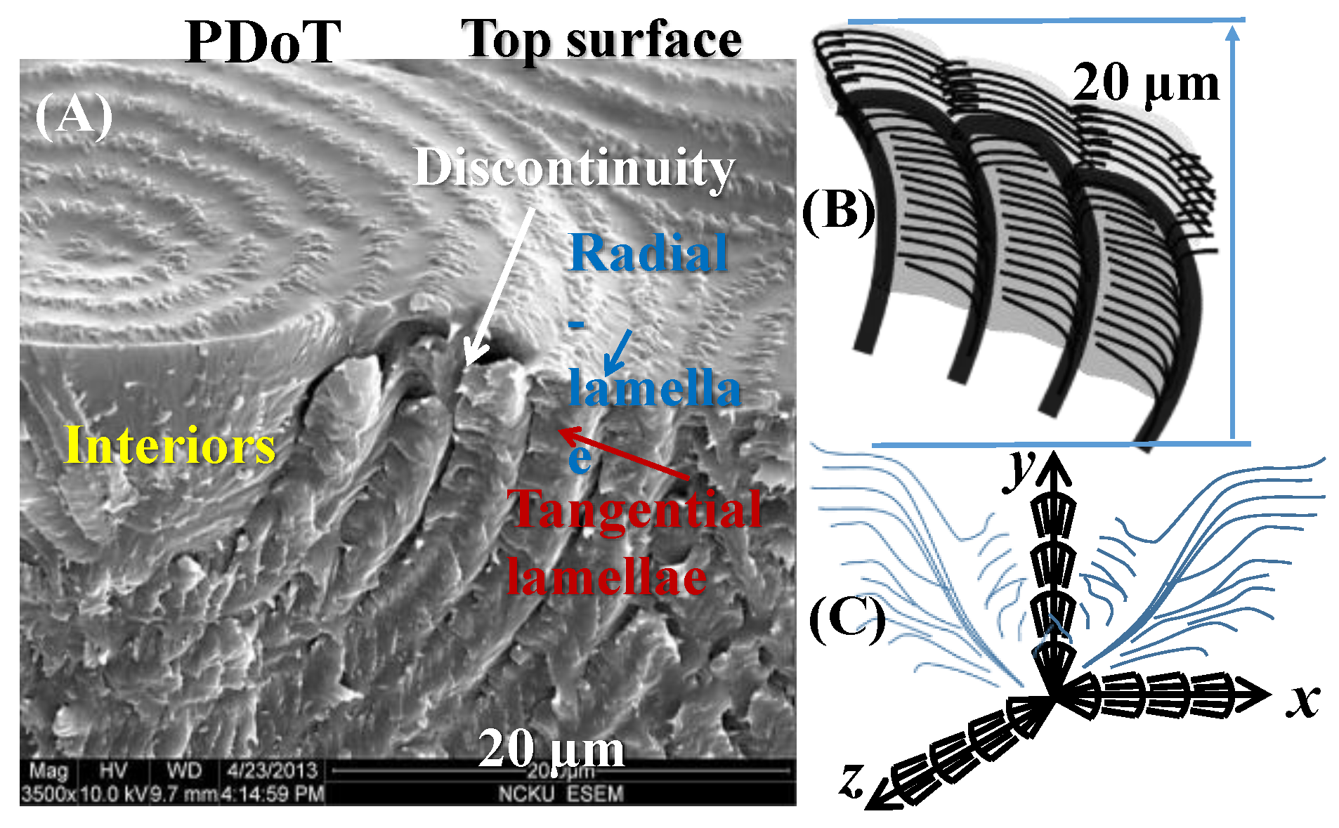 Nanomaterials 13 01016 g009