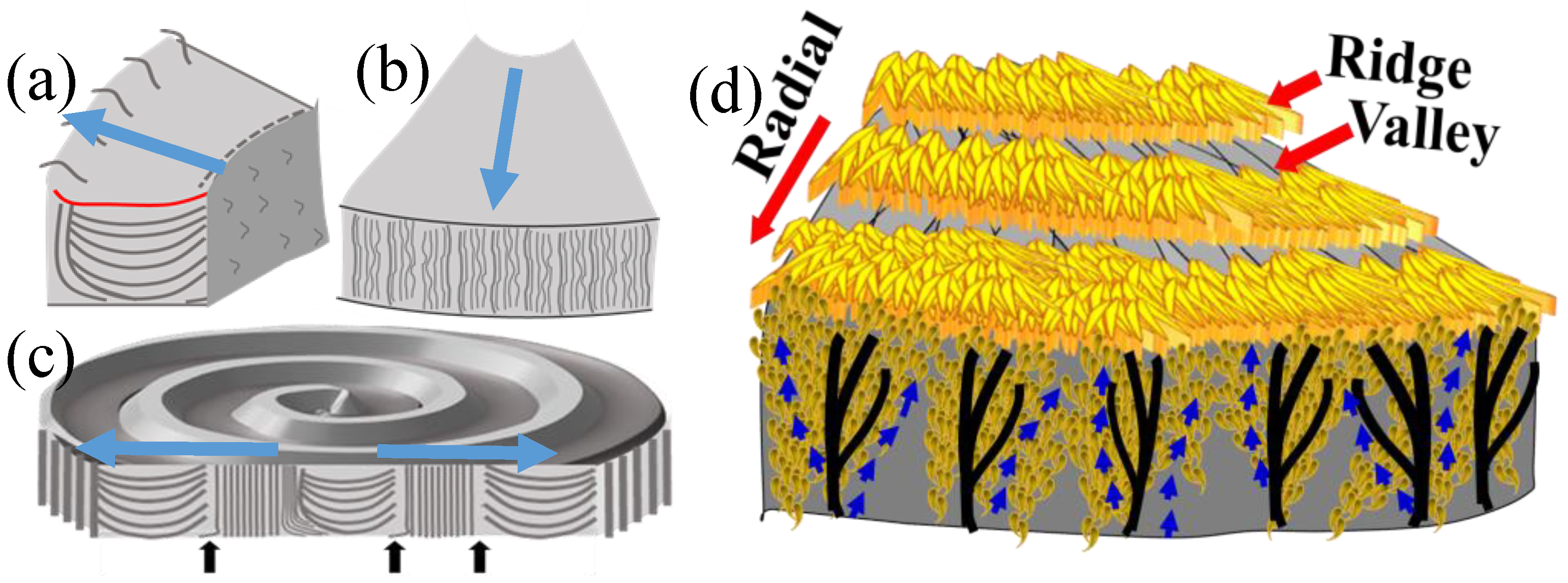 Nanomaterials 13 01016 g012