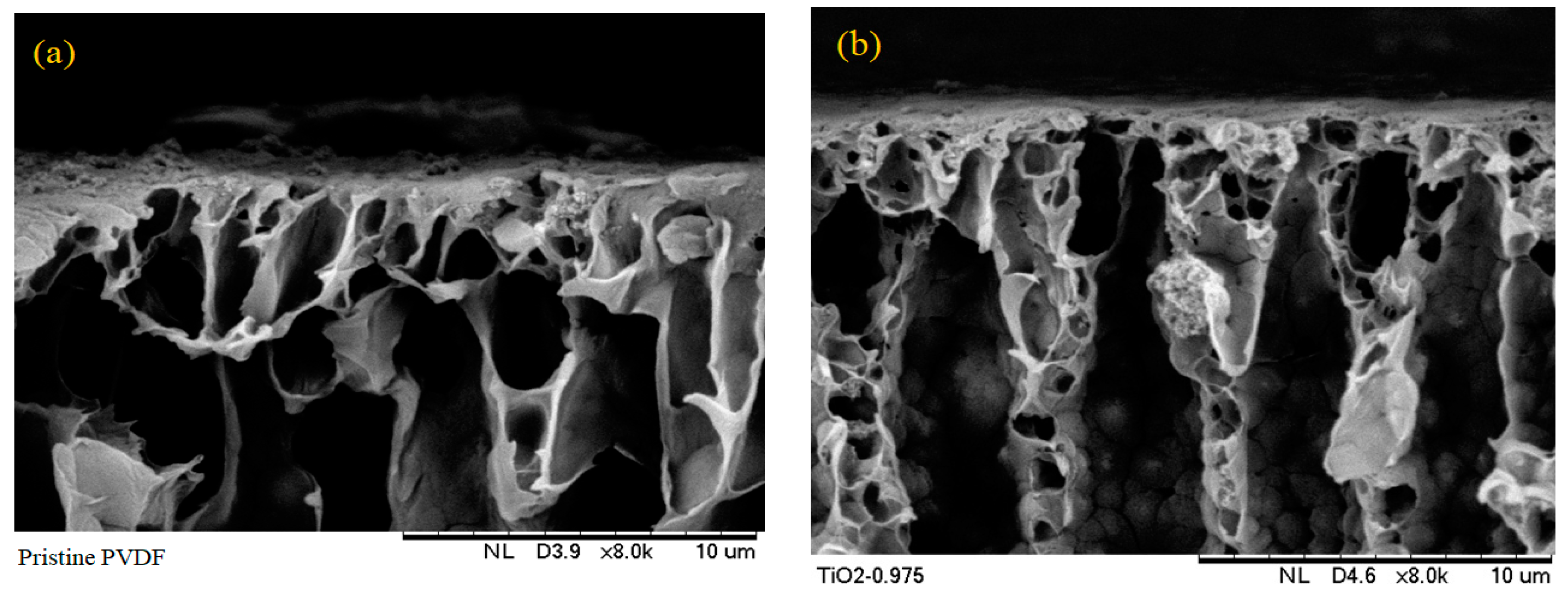 Nanomaterials 13 01023 g002a Nanomaterials 13 01023 g002a