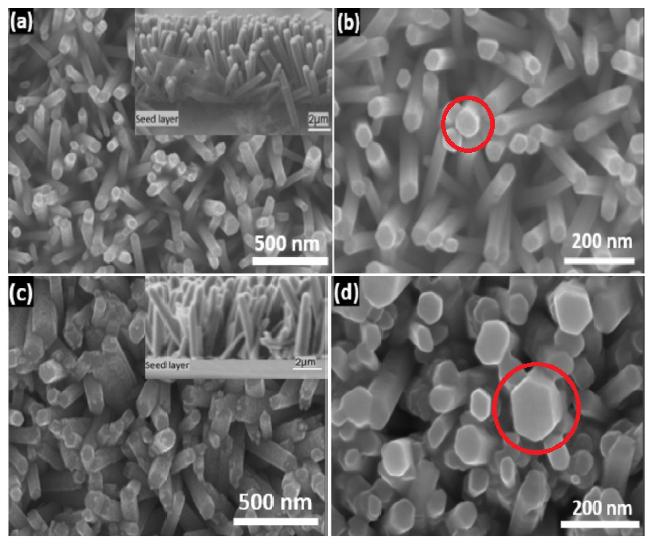 Nanomaterials 13 01025 g004
