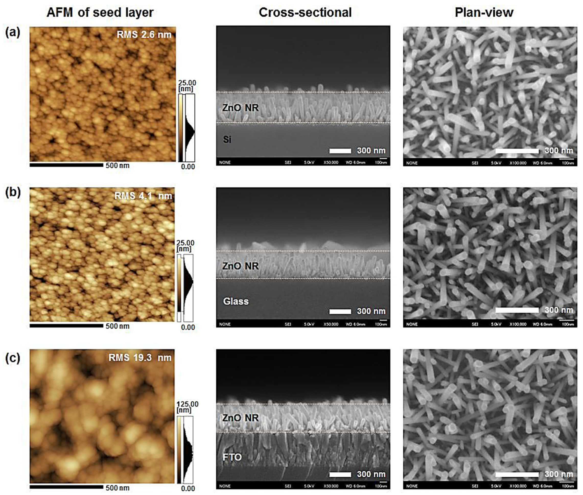 Nanomaterials 13 01025 g008