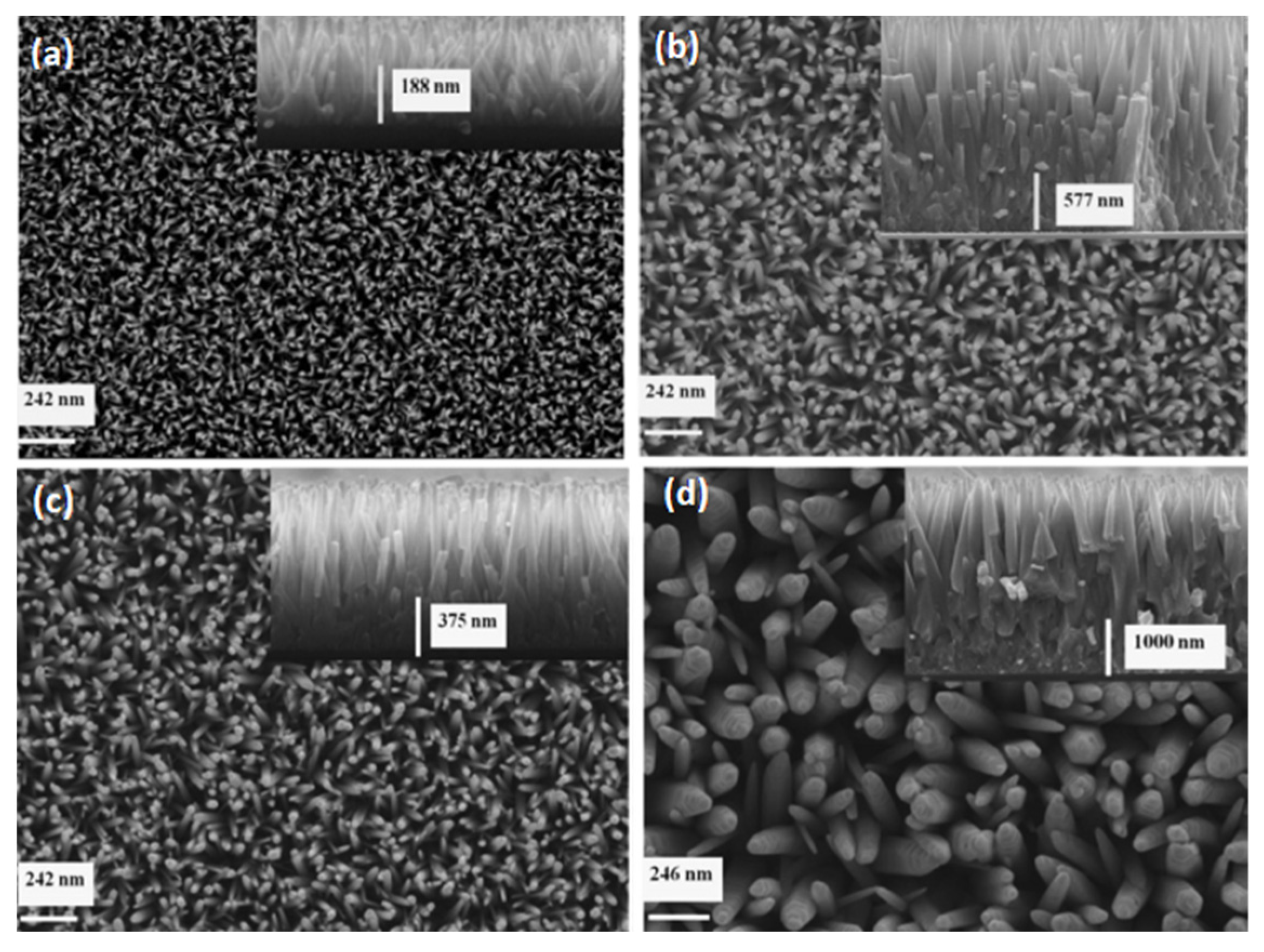 Nanomaterials 13 01025 g009