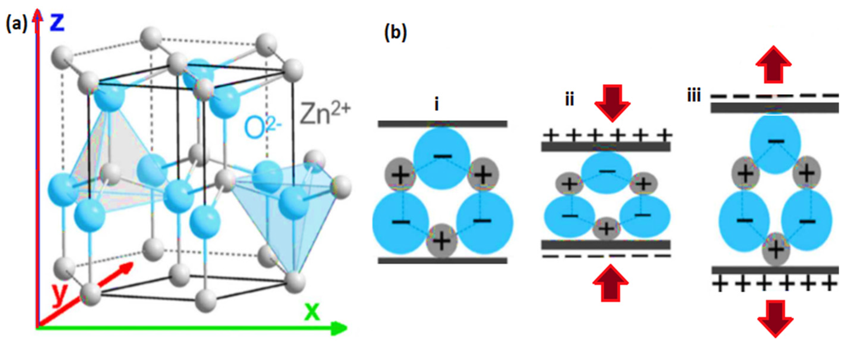 Nanomaterials 13 01025 g010