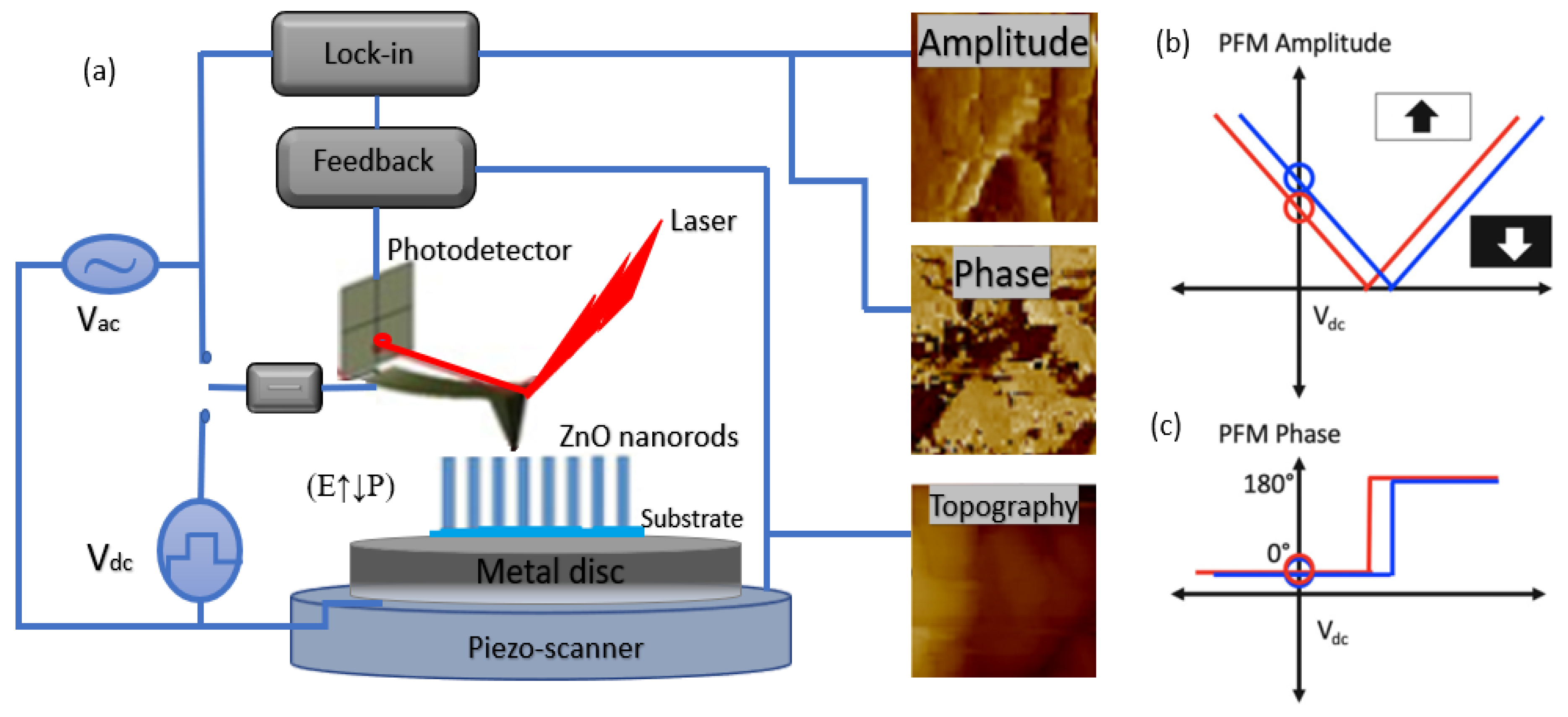 Nanomaterials 13 01025 g012