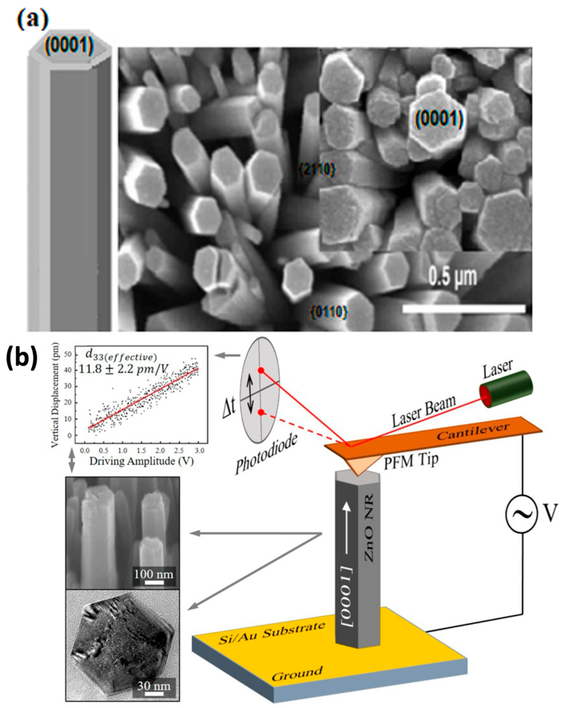Nanomaterials 13 01025 g014