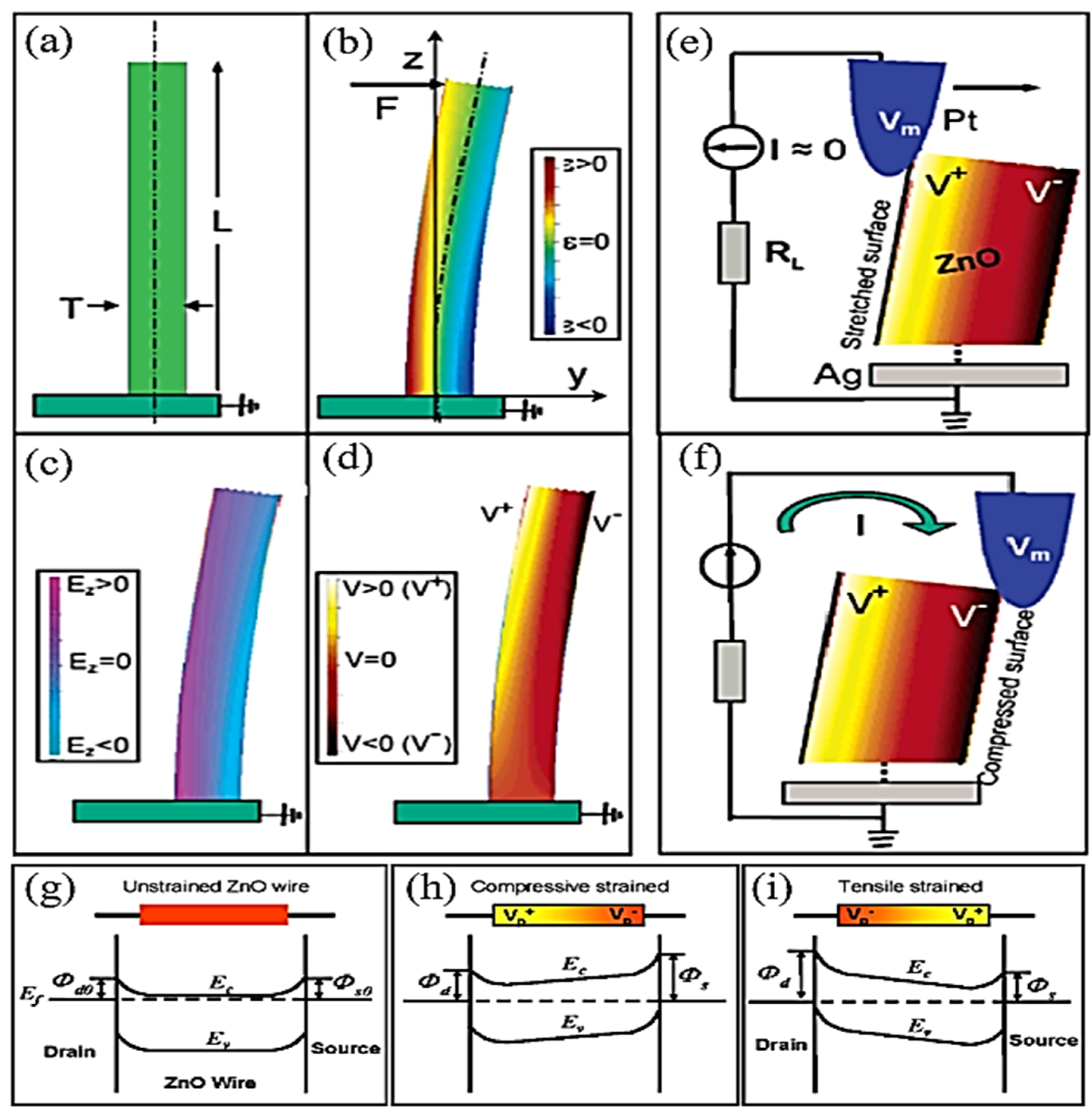 Nanomaterials 13 01025 g015