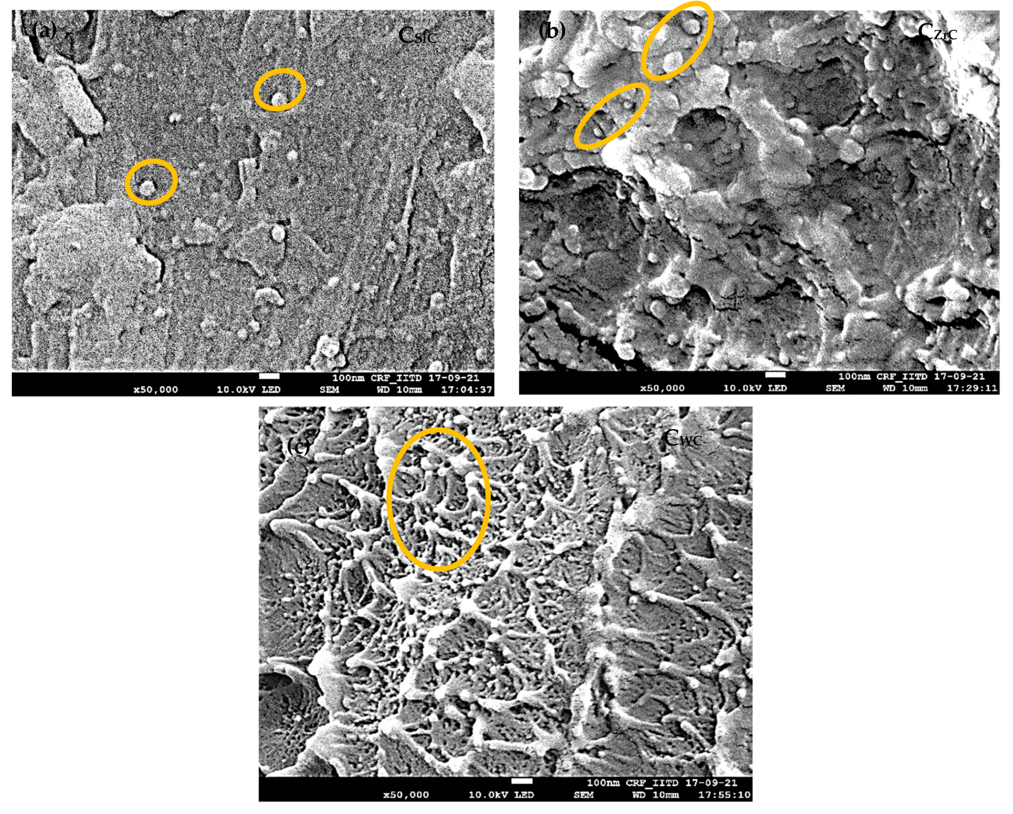 Nanomaterials 13 01028 g002 Nanomaterials 13 01028 g002