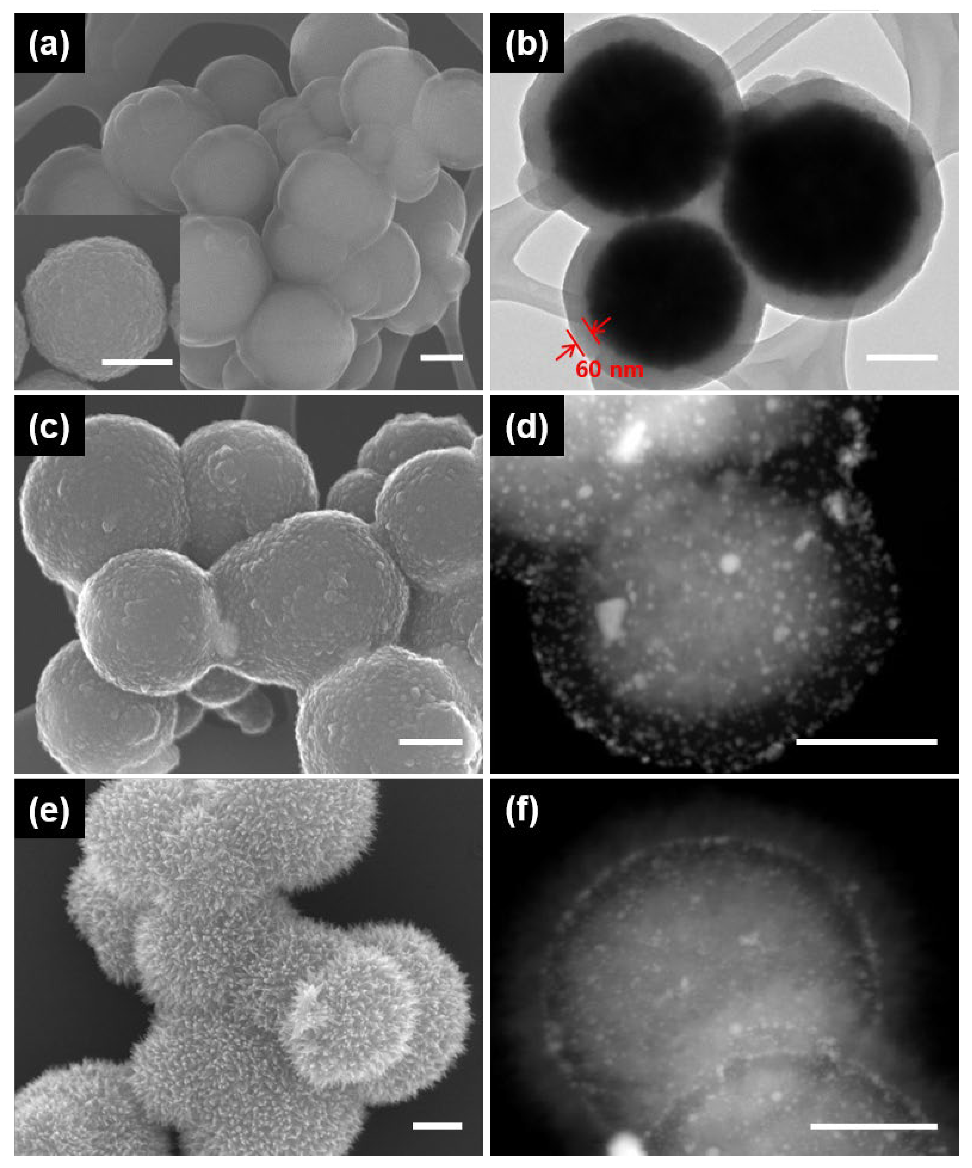 Nanomaterials 13 01037 g002 Nanomaterials 13 01037 g002