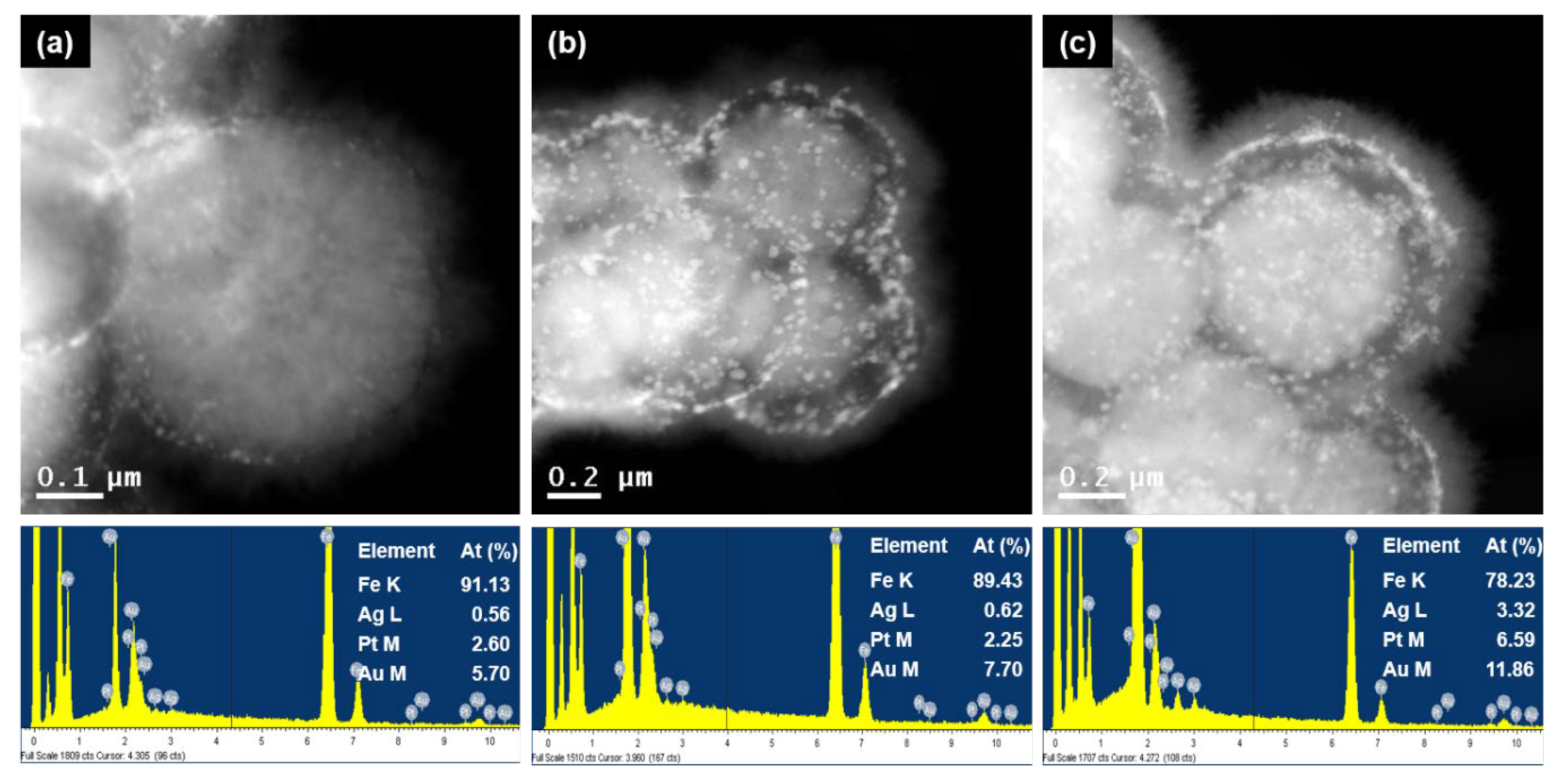 Nanomaterials 13 01037 g004 Nanomaterials 13 01037 g004