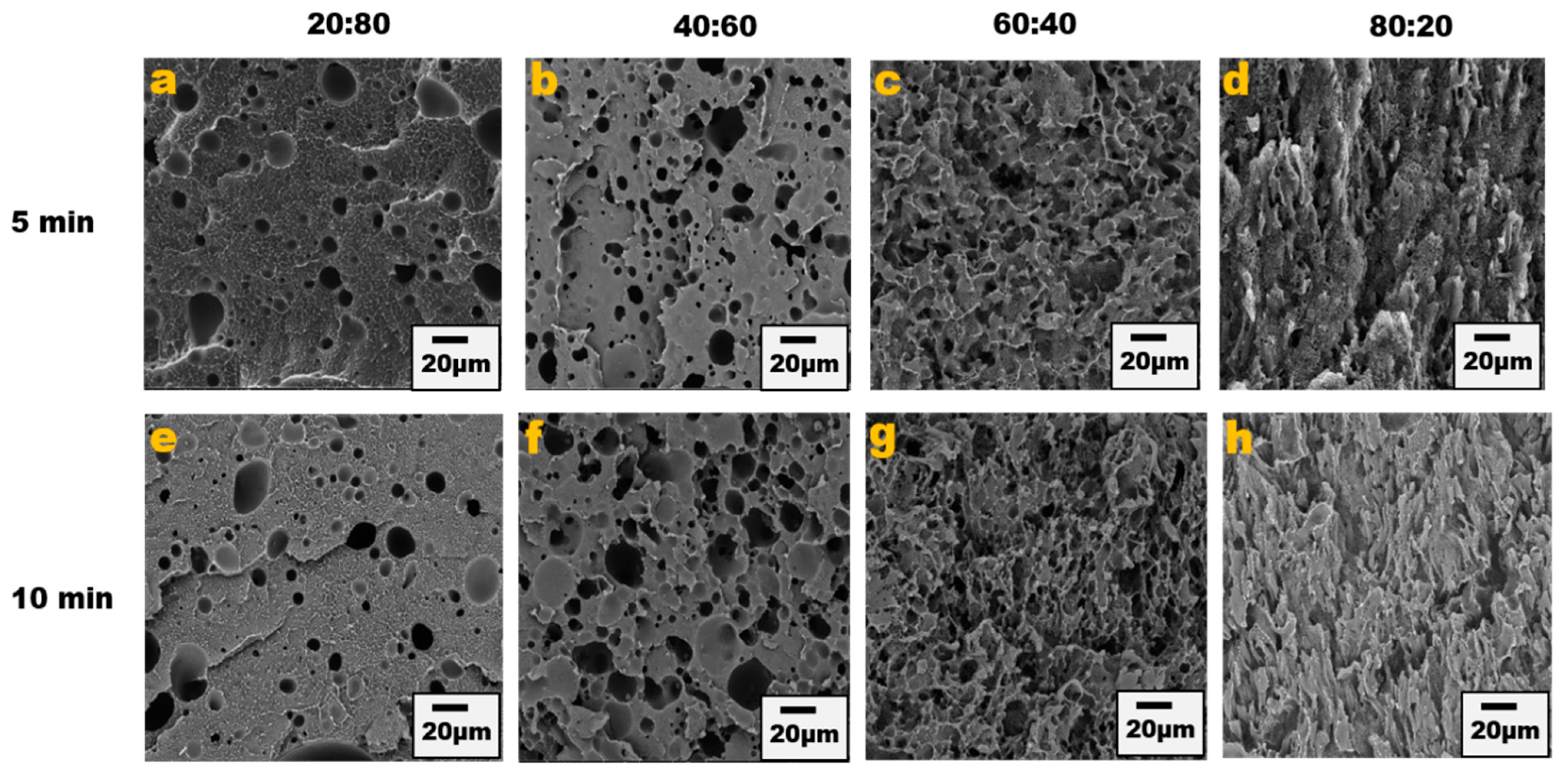 Nanomaterials 13 01039 g001