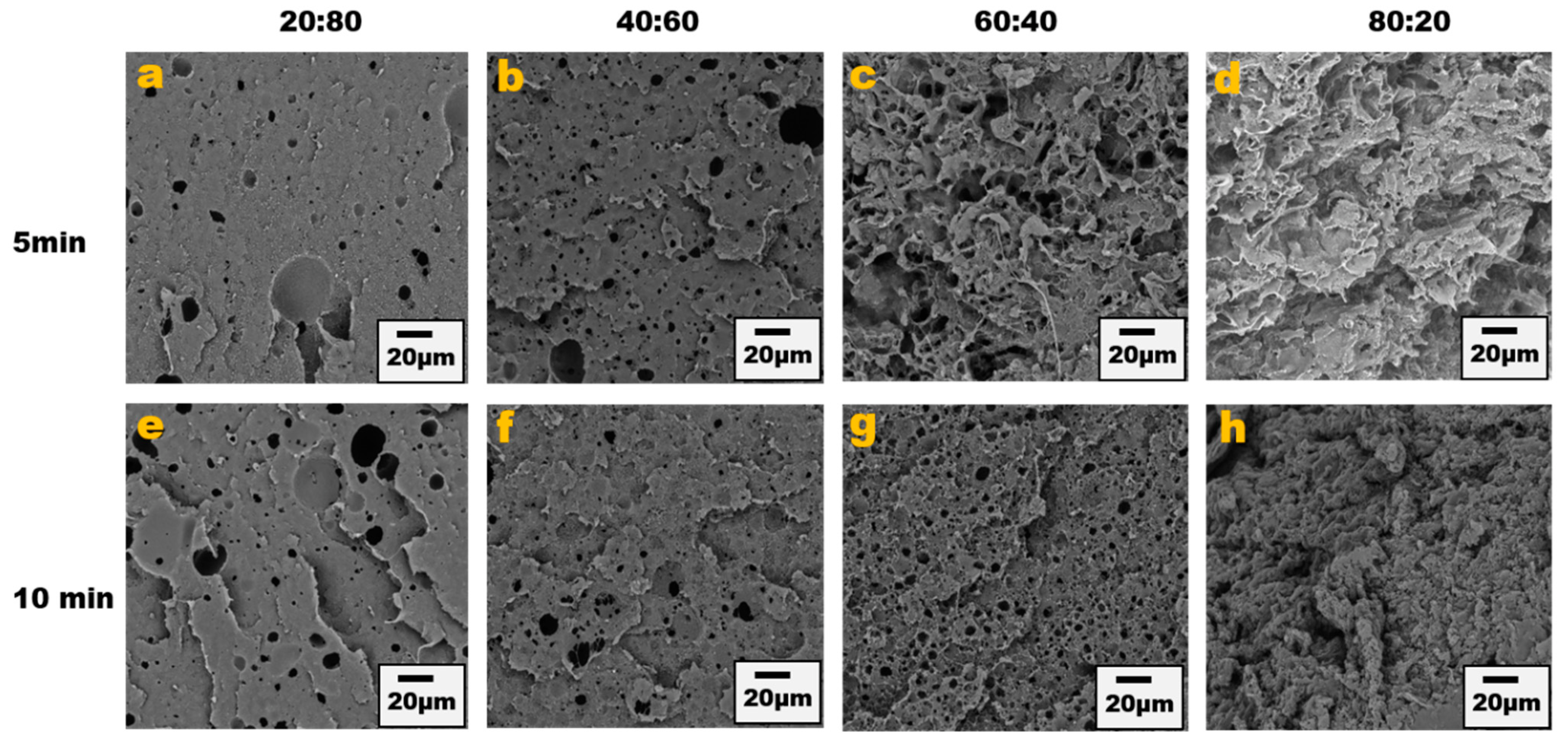 Nanomaterials 13 01039 g003
