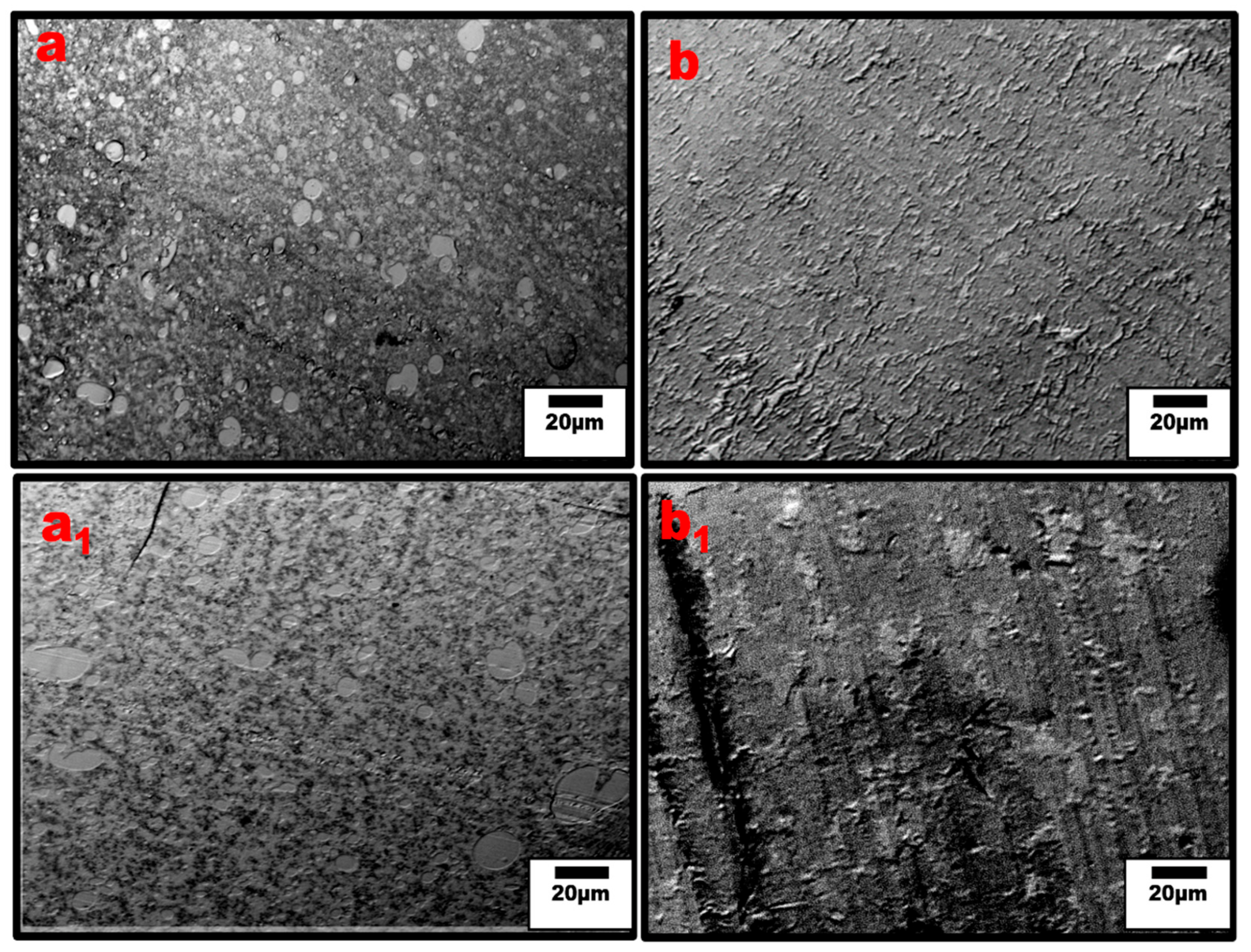 Nanomaterials 13 01039 g006