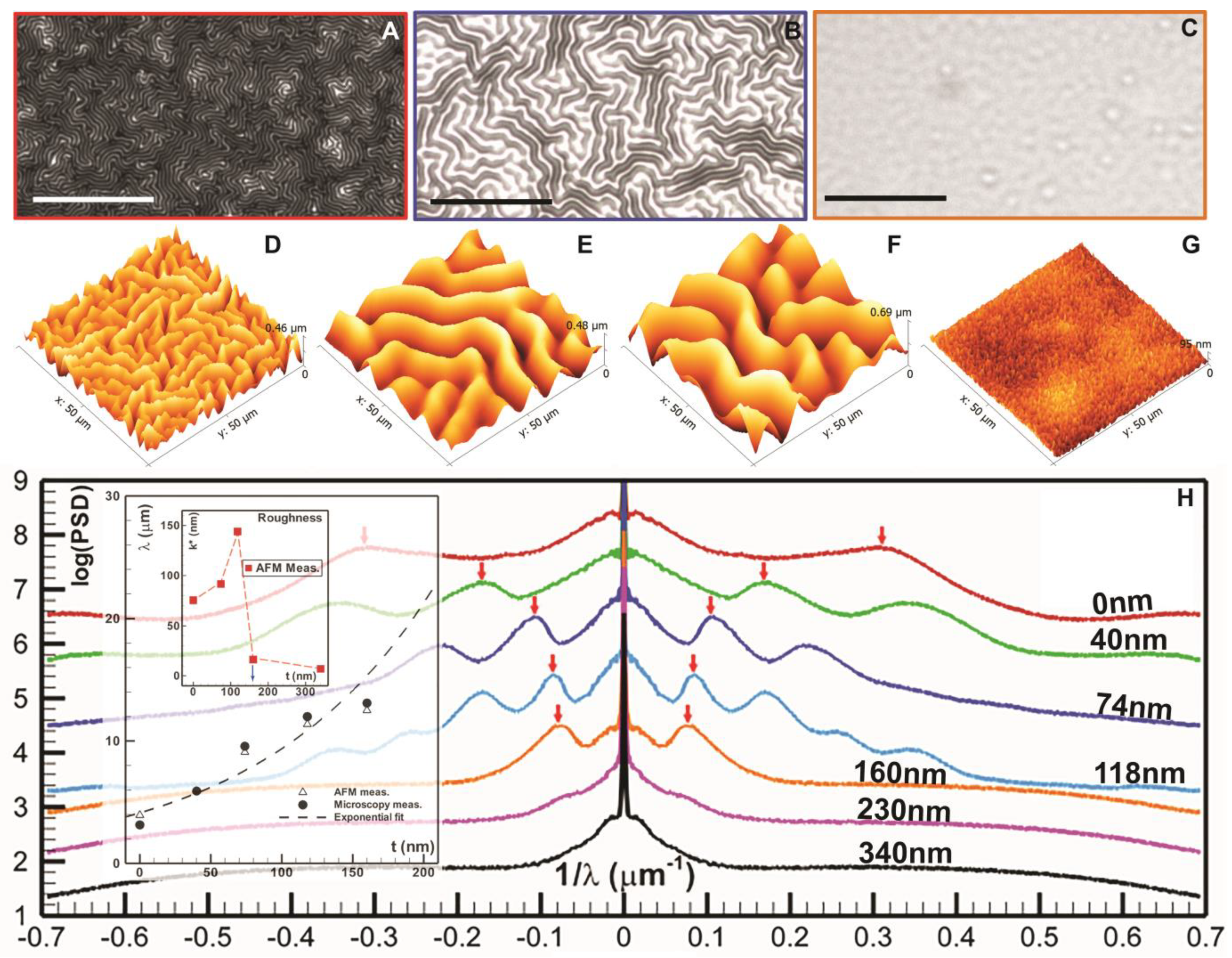 Nanomaterials 13 01044 g003