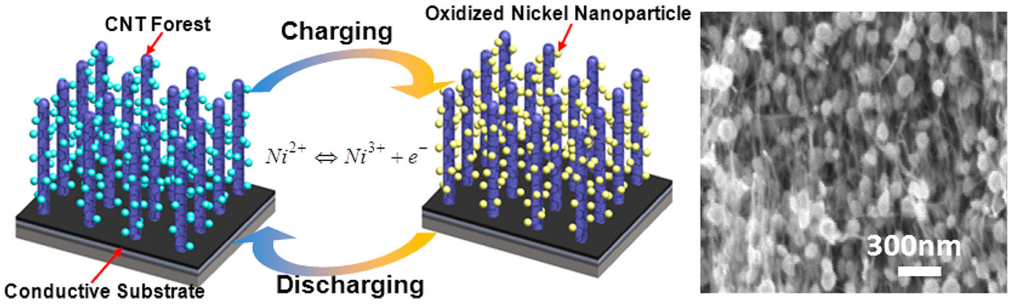 Nanomaterials 13 01049 g013