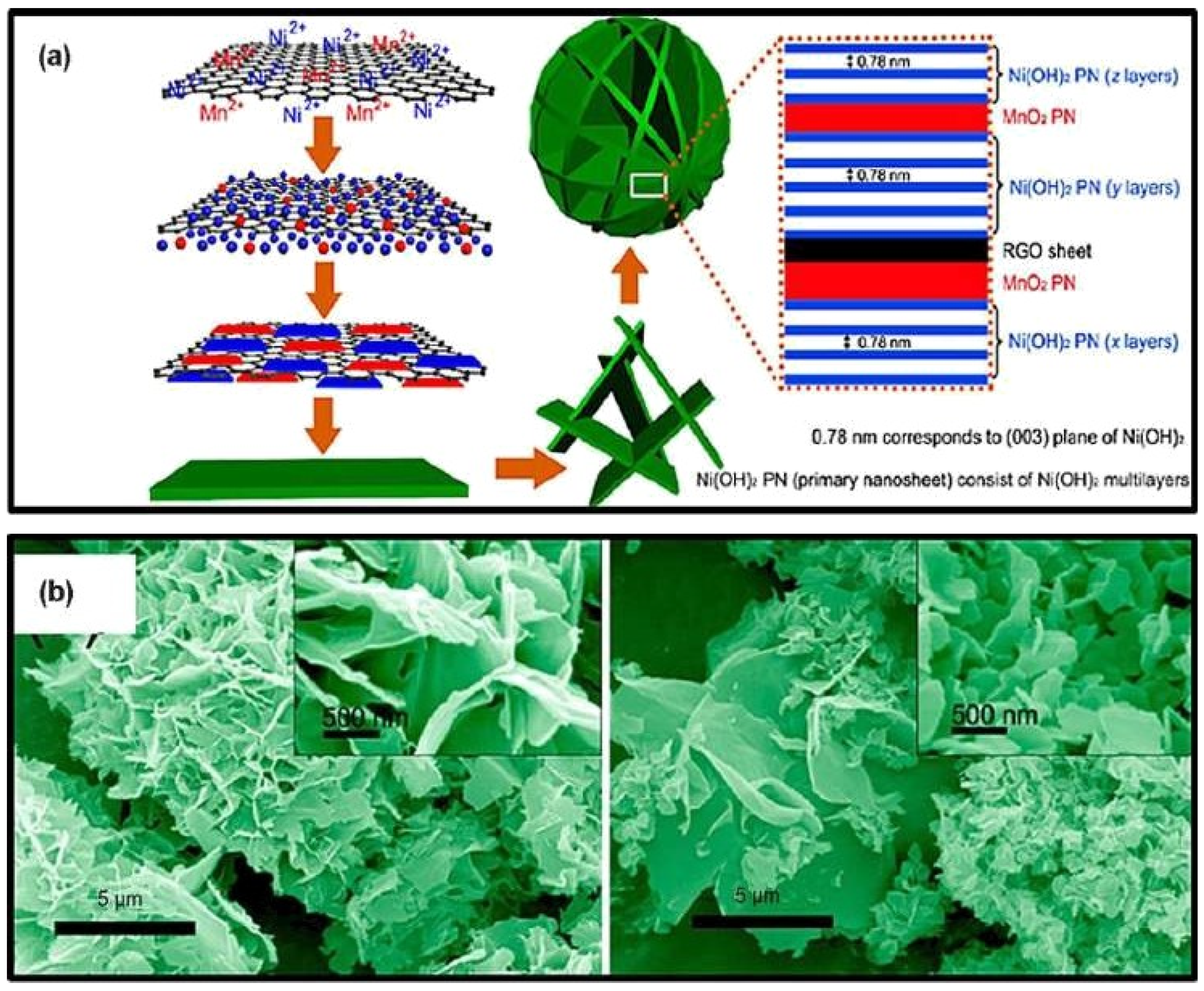 Nanomaterials 13 01049 g016