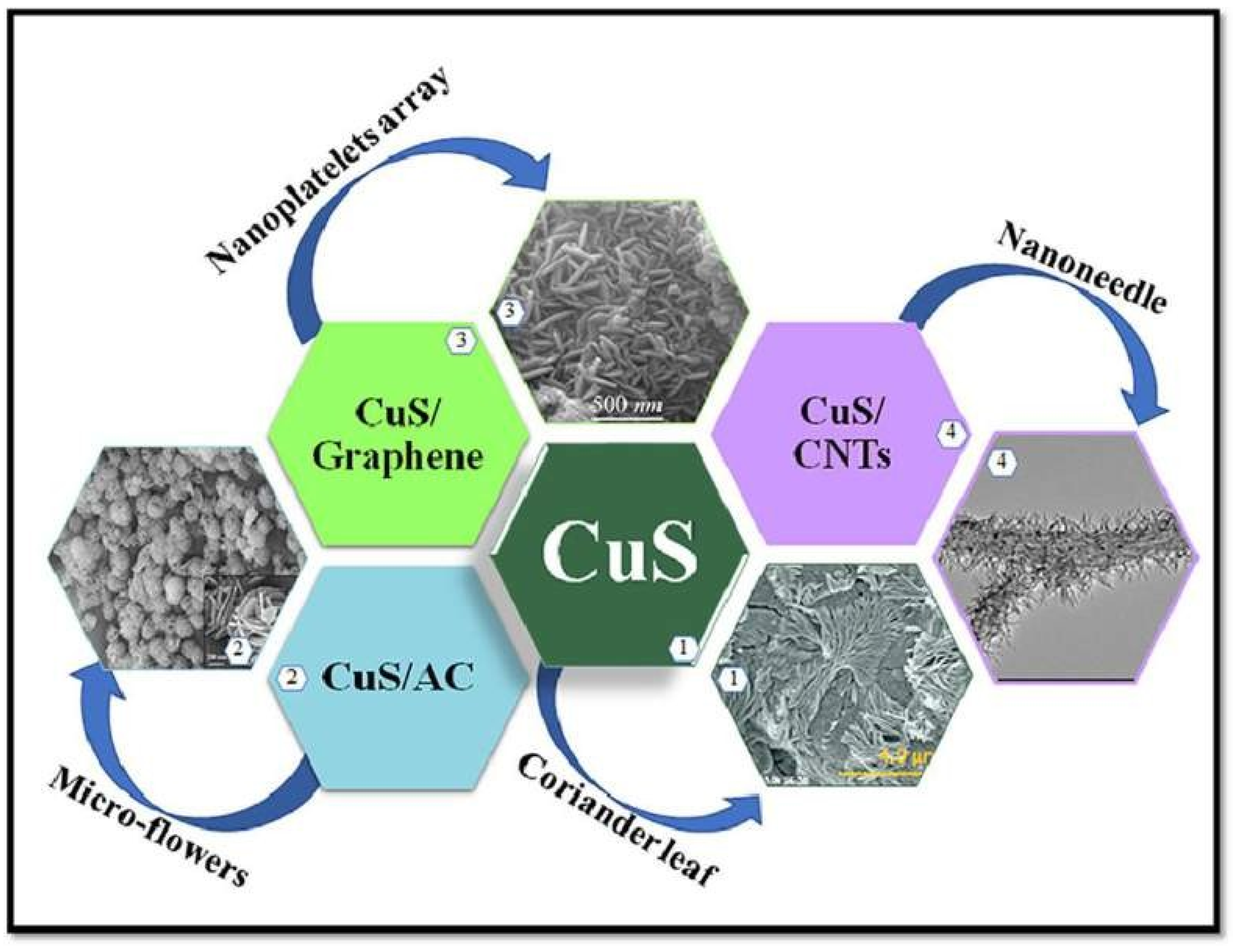 Nanomaterials Free FullText Carbon Materials as a Conductive