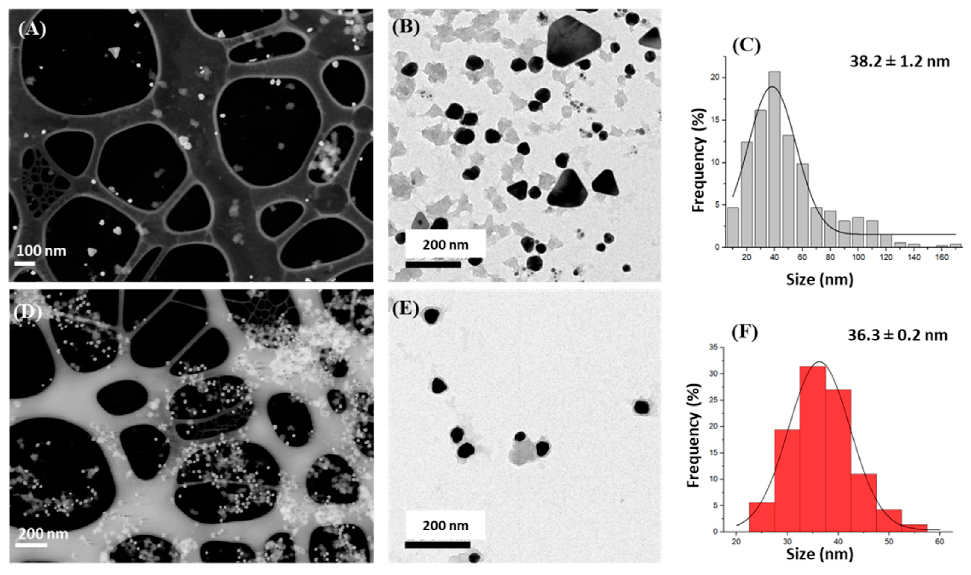 Nanomaterials 13 01055 g002