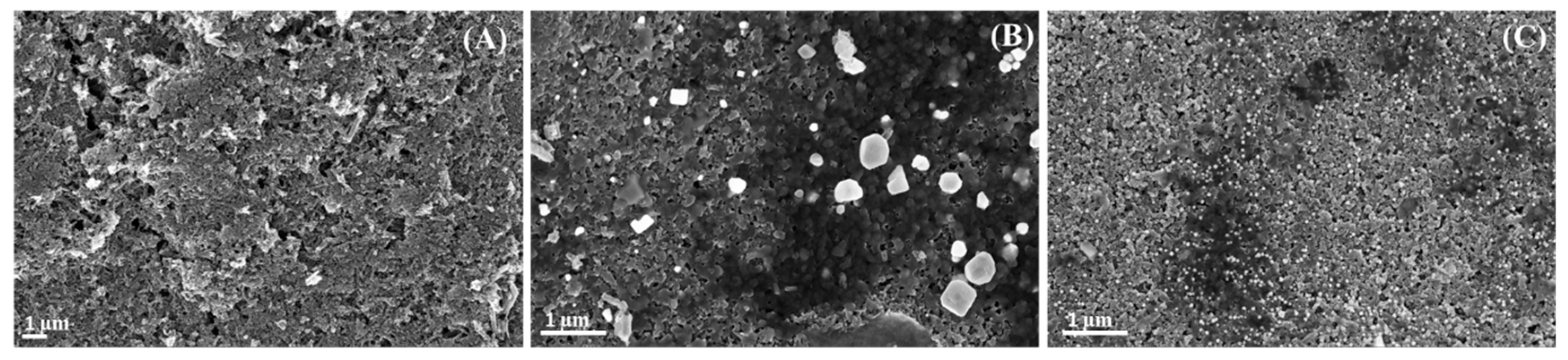 Nanomaterials 13 01055 g003