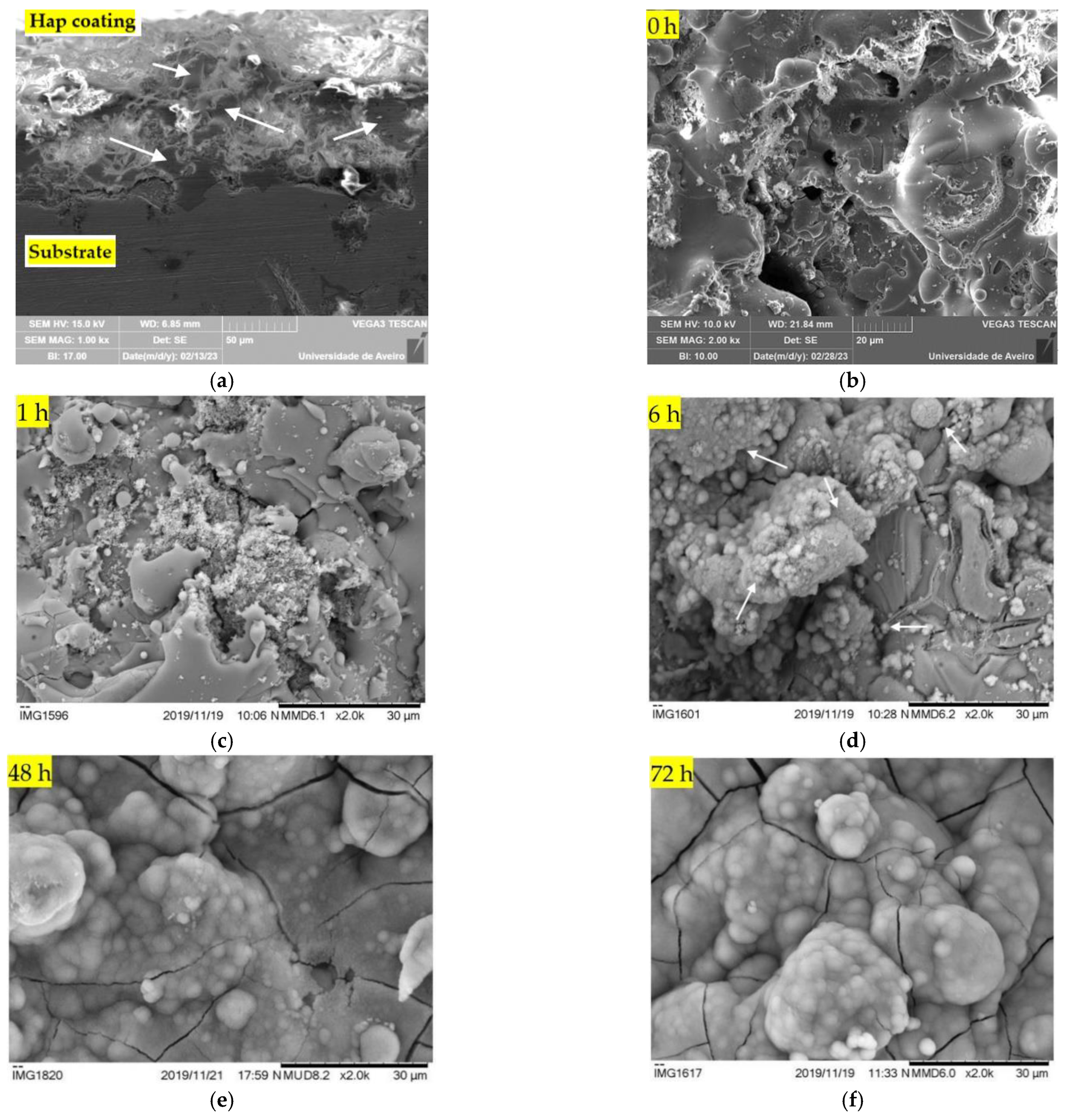 PDF) Bioactivity Enhancement of Plasma-Sprayed Hydroxyapatite Coatings  through Non-Contact Corona Electrical Charging