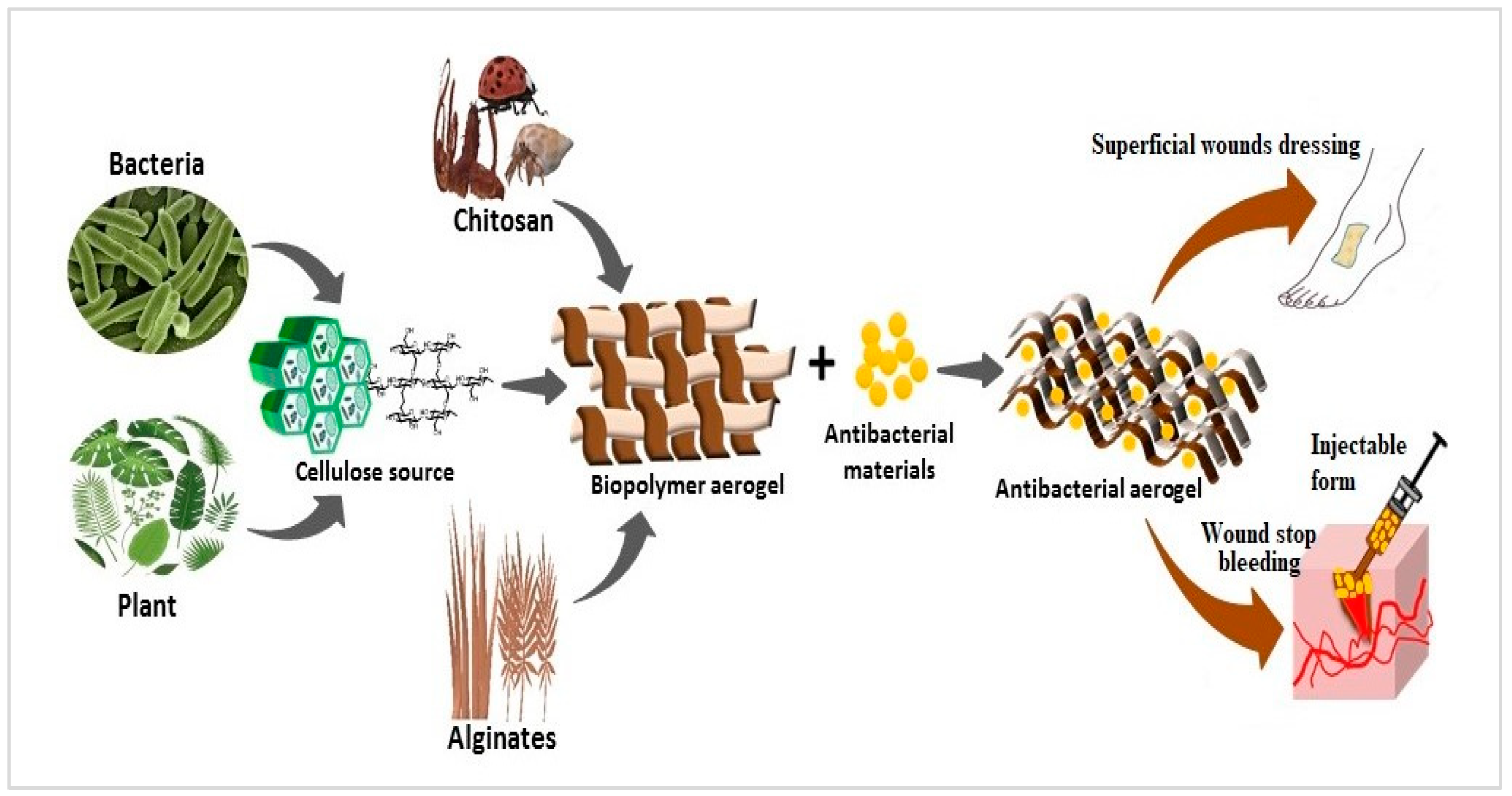 Nanomaterials 13 01063 g005 Nanomaterials 13 01063 g005