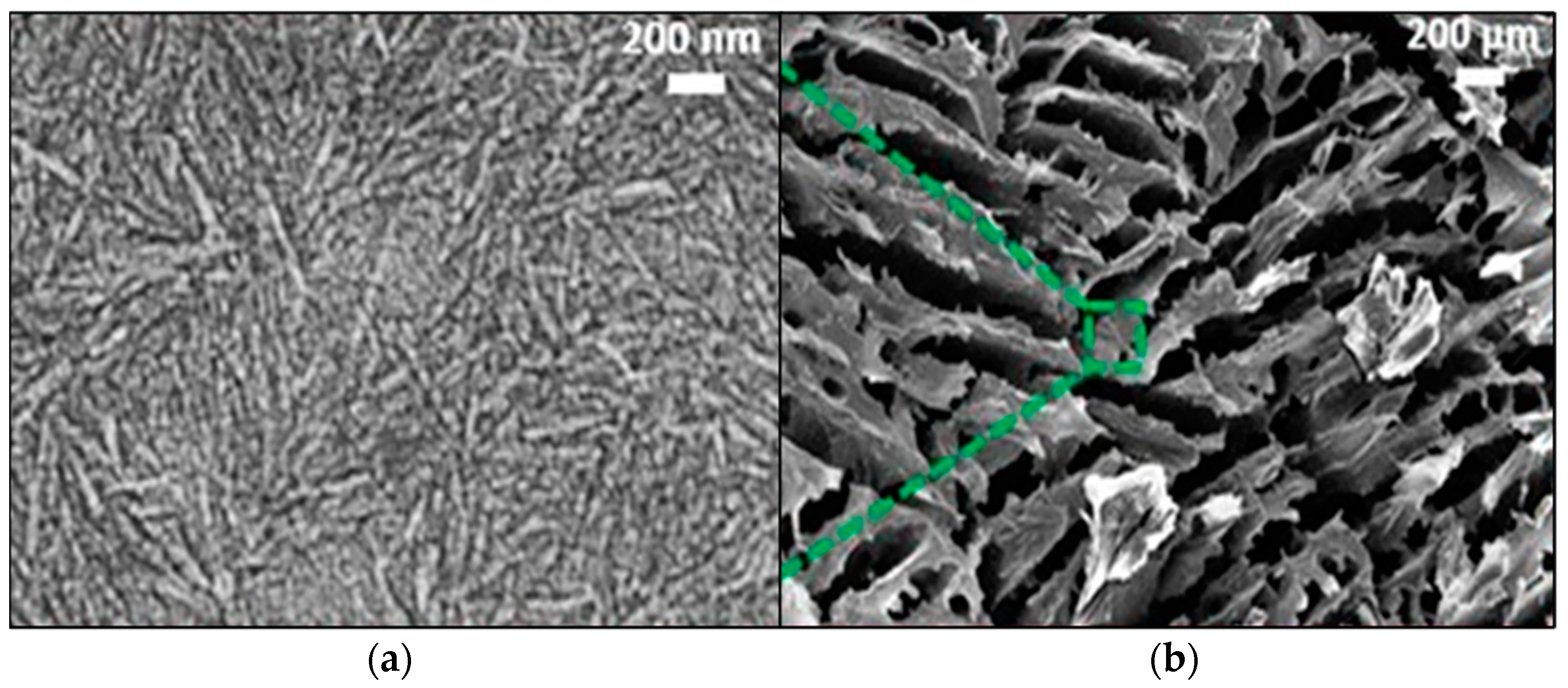 Nanomaterials 13 01063 g008 Nanomaterials 13 01063 g008