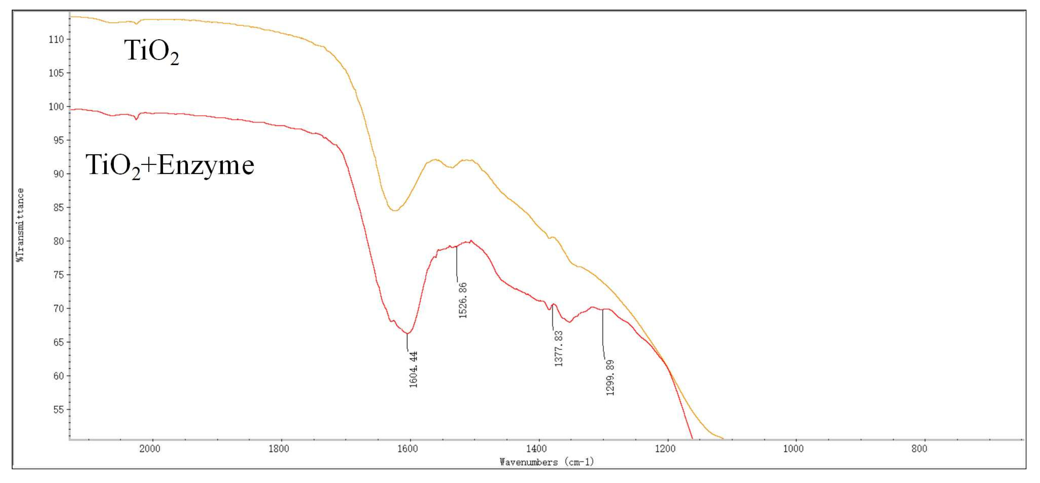 Nanomaterials 13 01065 g0a1 Nanomaterials 13 01065 g0a1