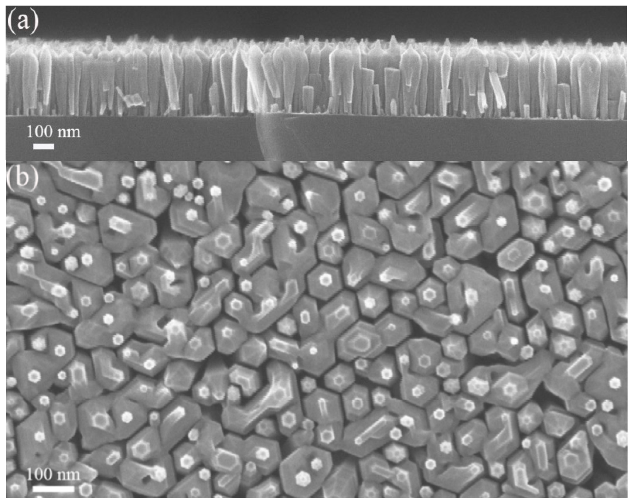 Nanomaterials 13 01069 g001 Nanomaterials 13 01069 g001