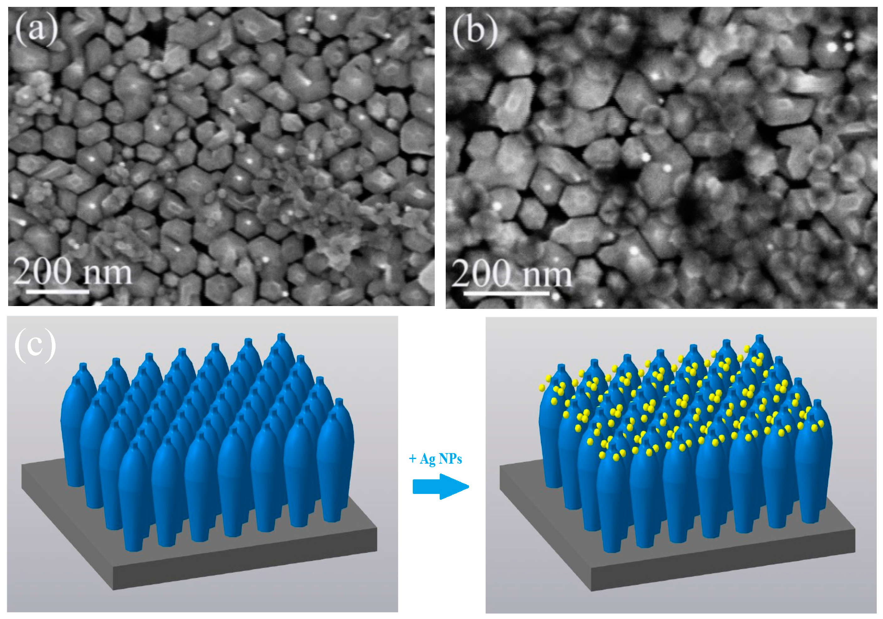 Nanomaterials 13 01069 g005 Nanomaterials 13 01069 g005