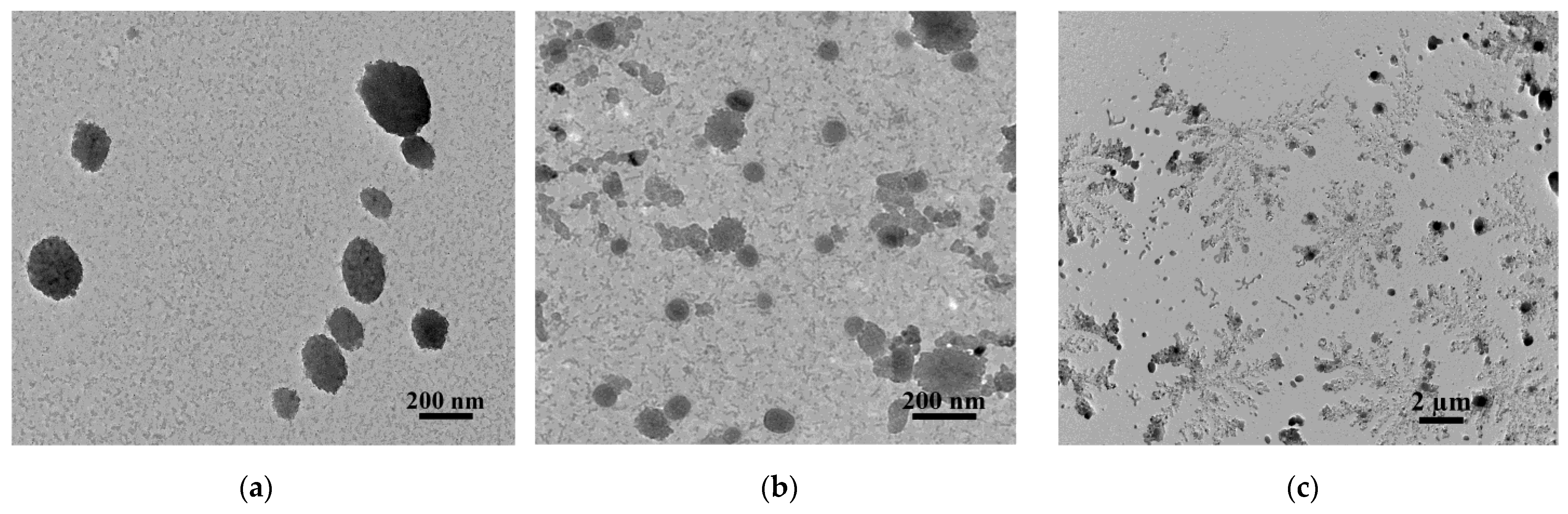 Nanomaterials 13 01072 g006 Nanomaterials 13 01072 g006