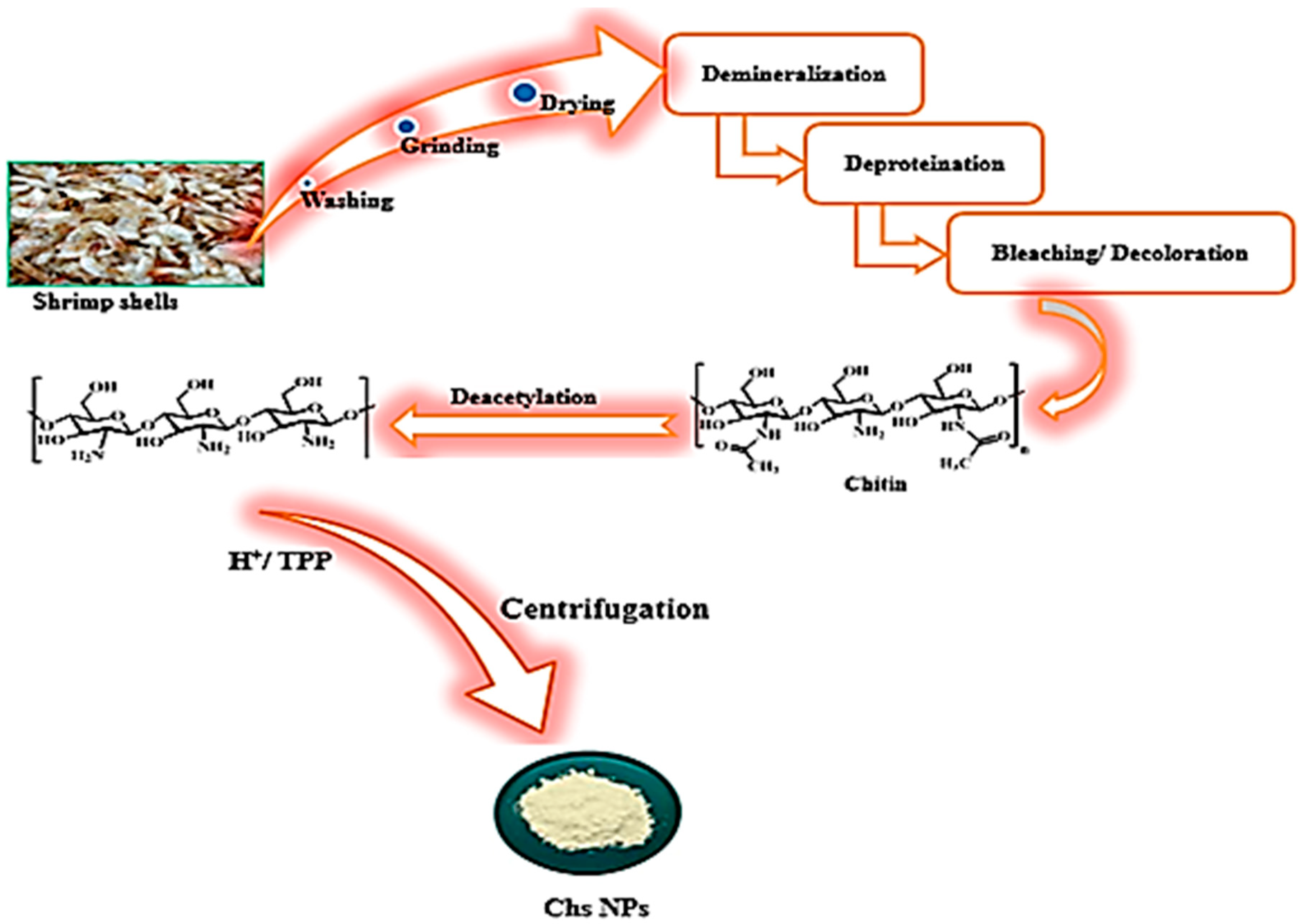 Nanomaterials 13 01079 g001