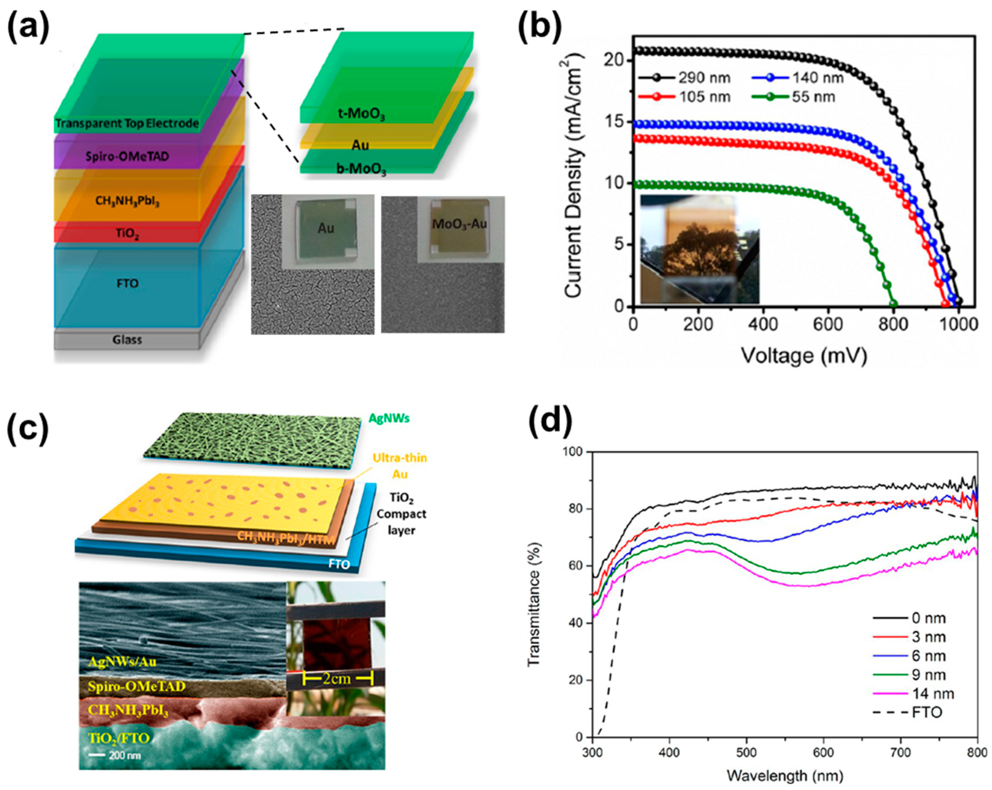 Nanomaterials 13 01084 g003