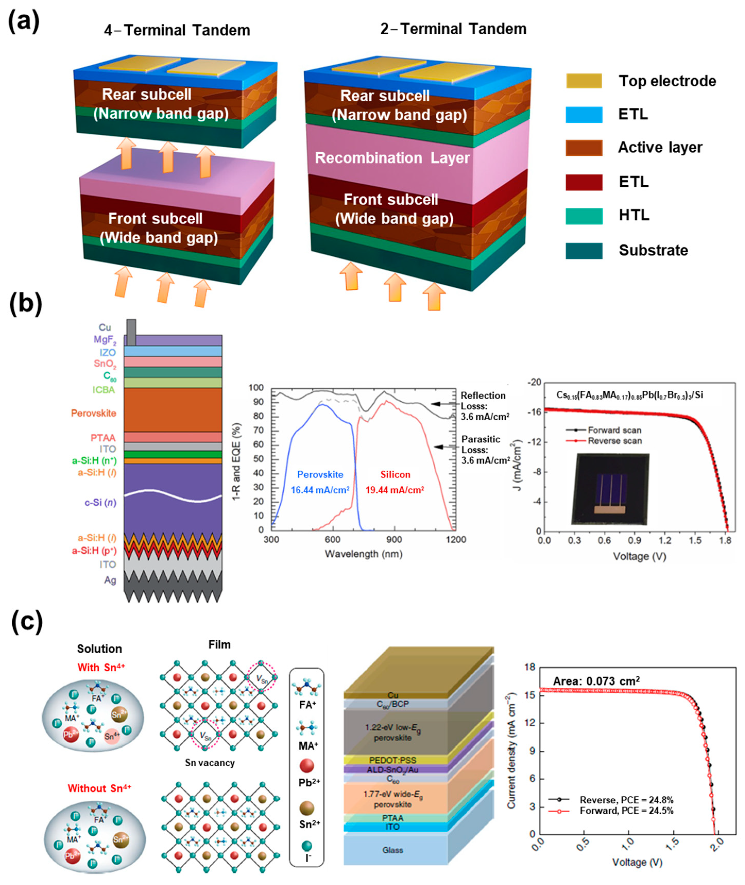 Nanomaterials 13 01084 g007