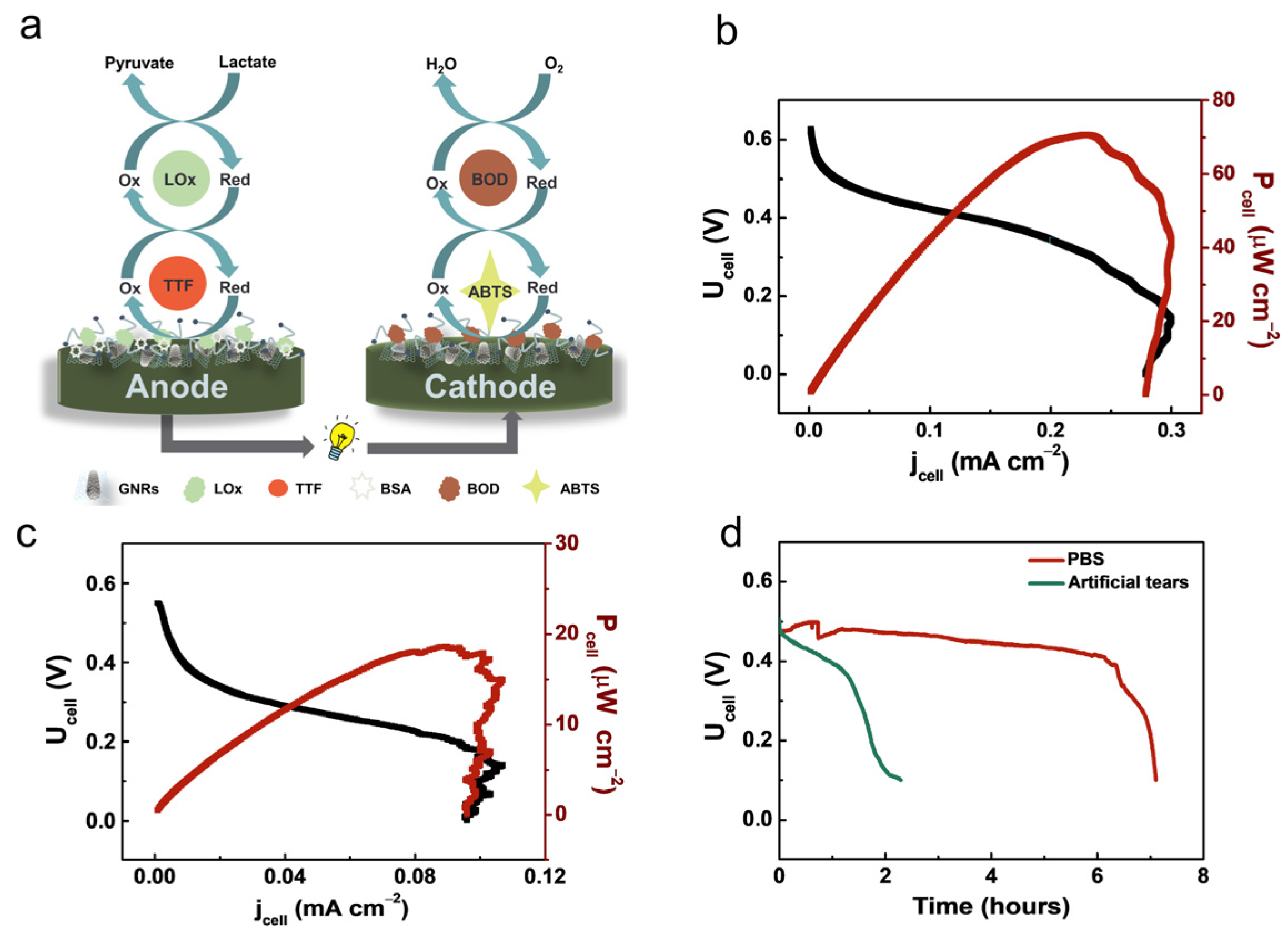 Nanomaterials 13 01089 g004 Nanomaterials 13 01089 g004