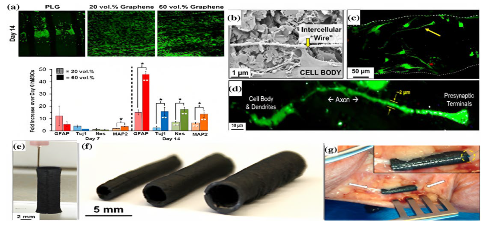 Nanomaterials 13 01092 g003