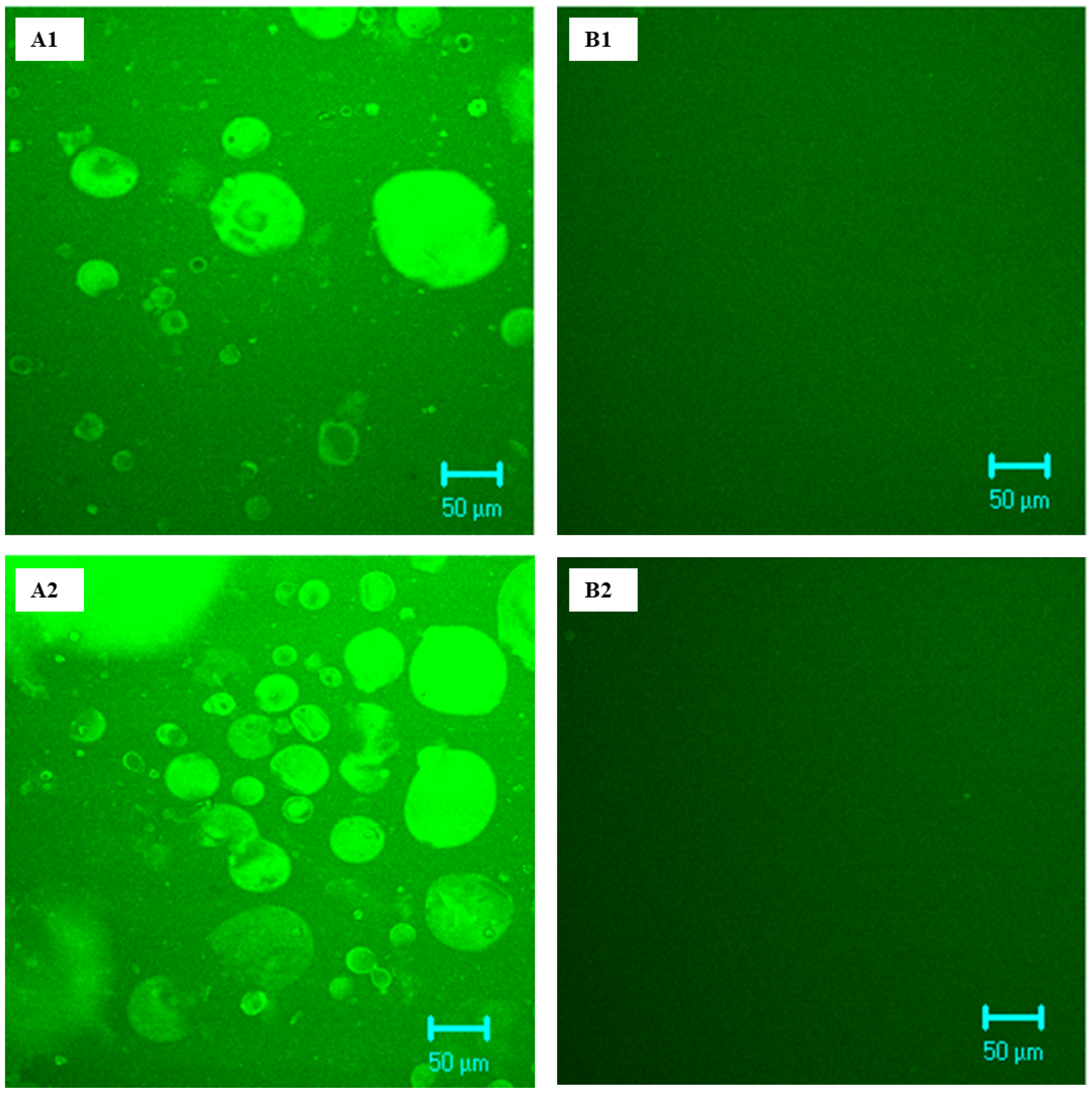 Nanomaterials 13 01093 g005 Nanomaterials 13 01093 g005