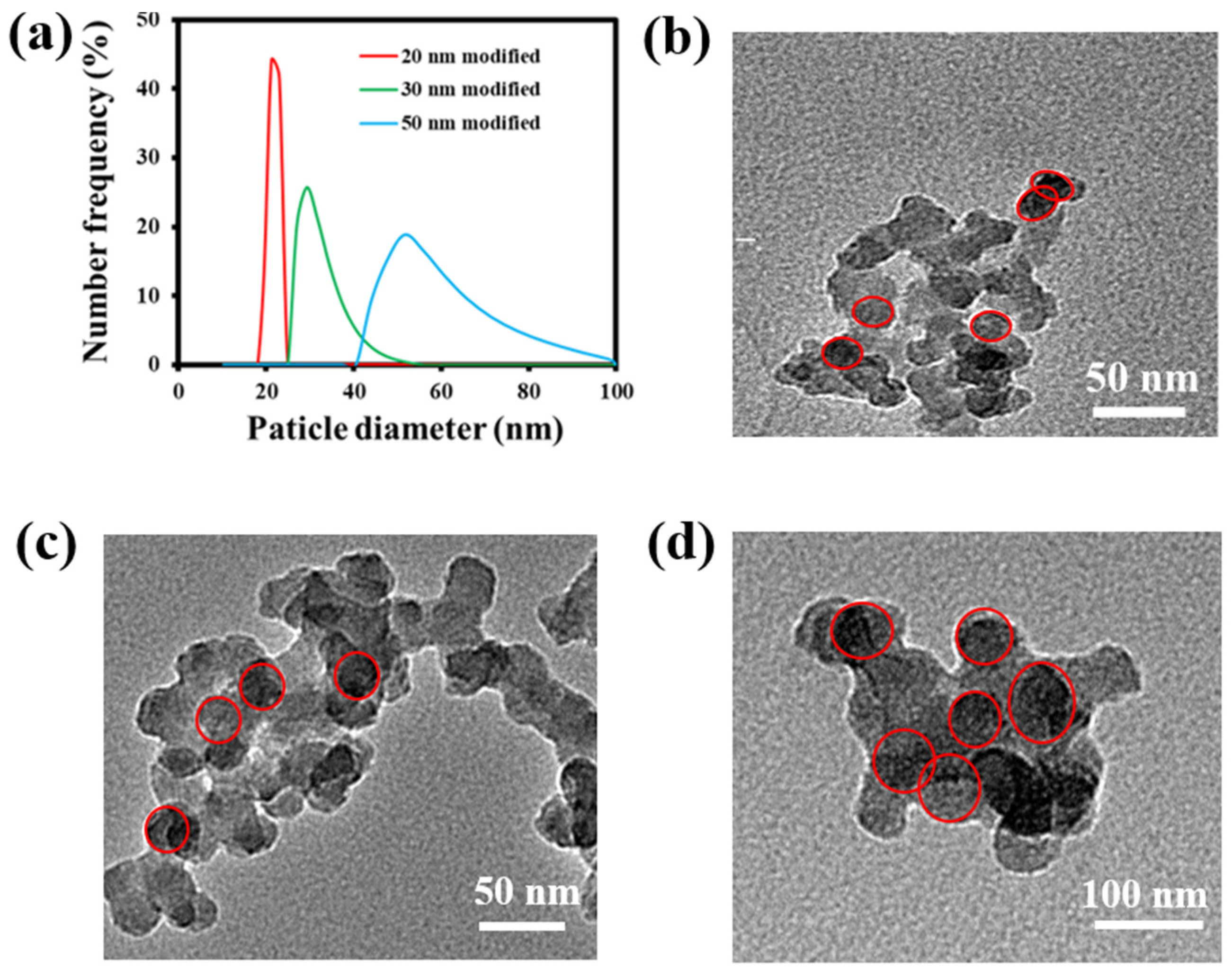 Nanomaterials 13 01096 g001 Nanomaterials 13 01096 g001