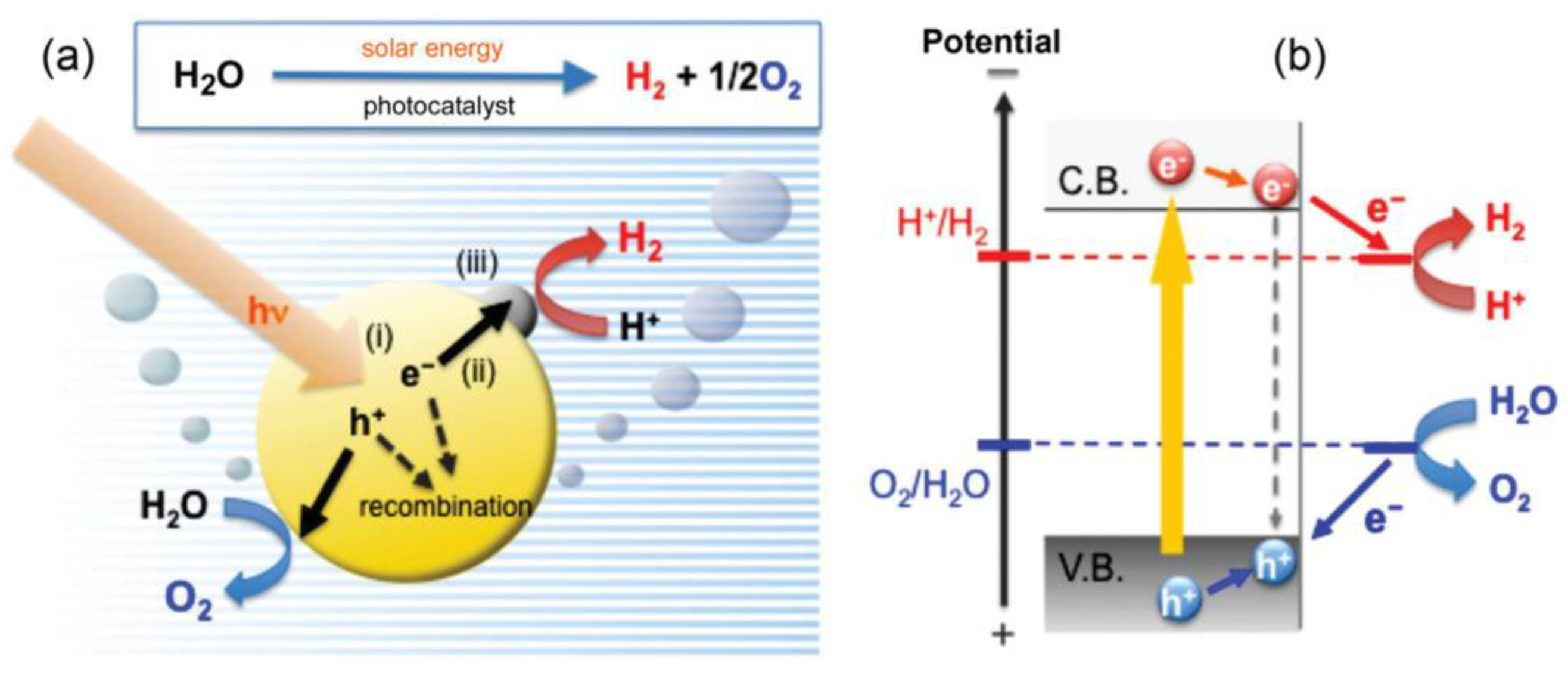Nanomaterials 13 01097 g001