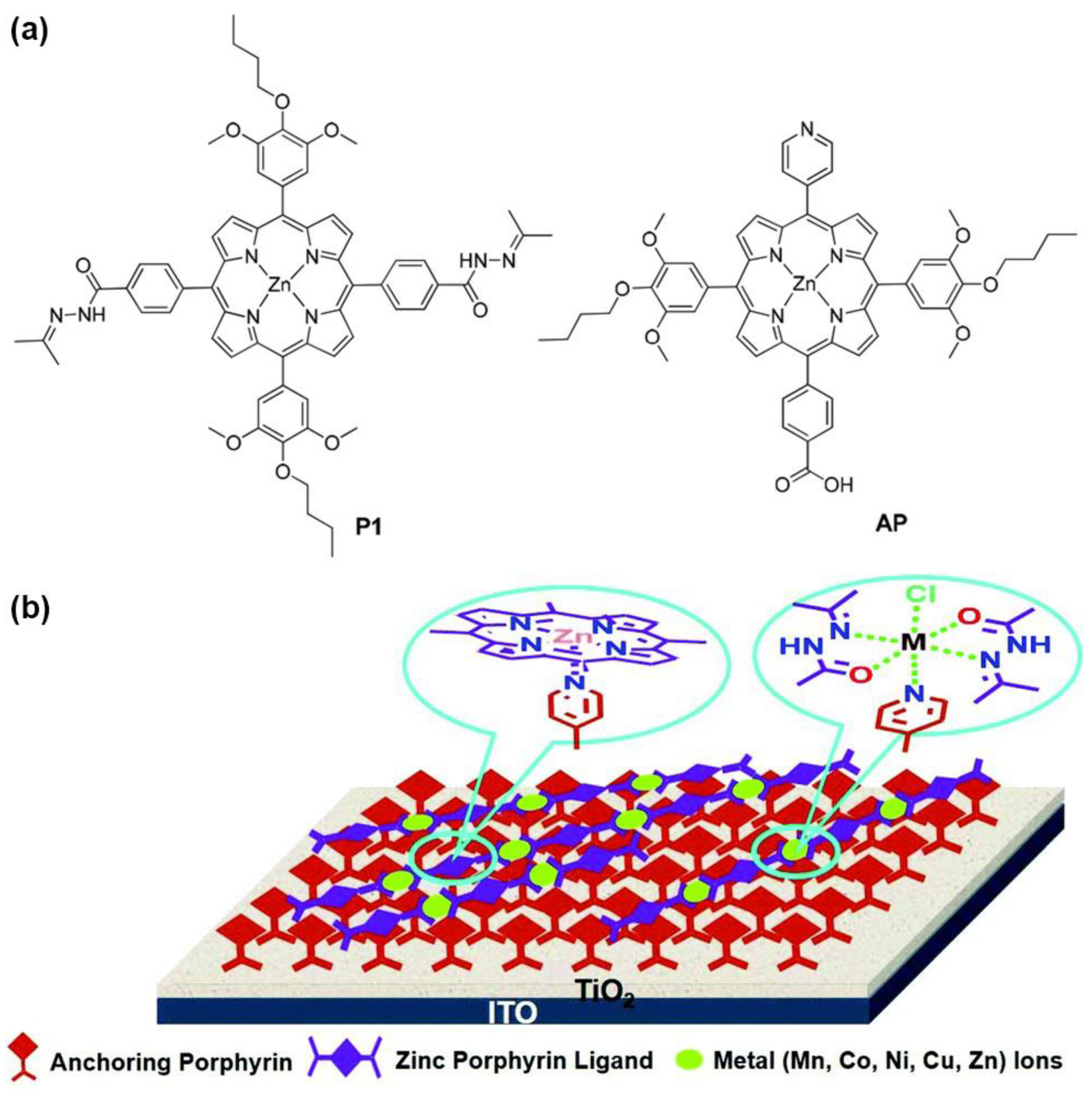 Nanomaterials 13 01097 g007