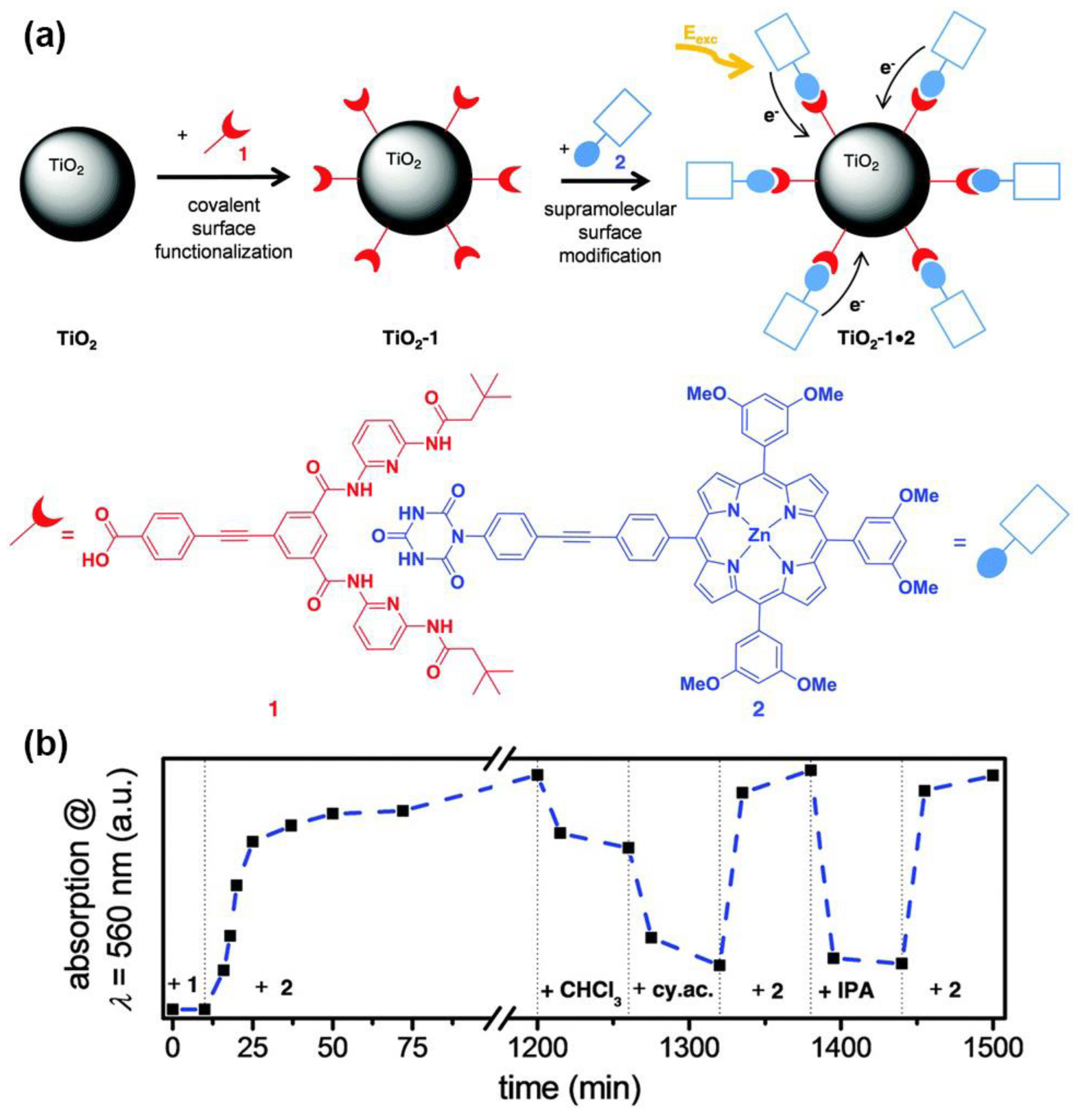 Nanomaterials 13 01097 g019